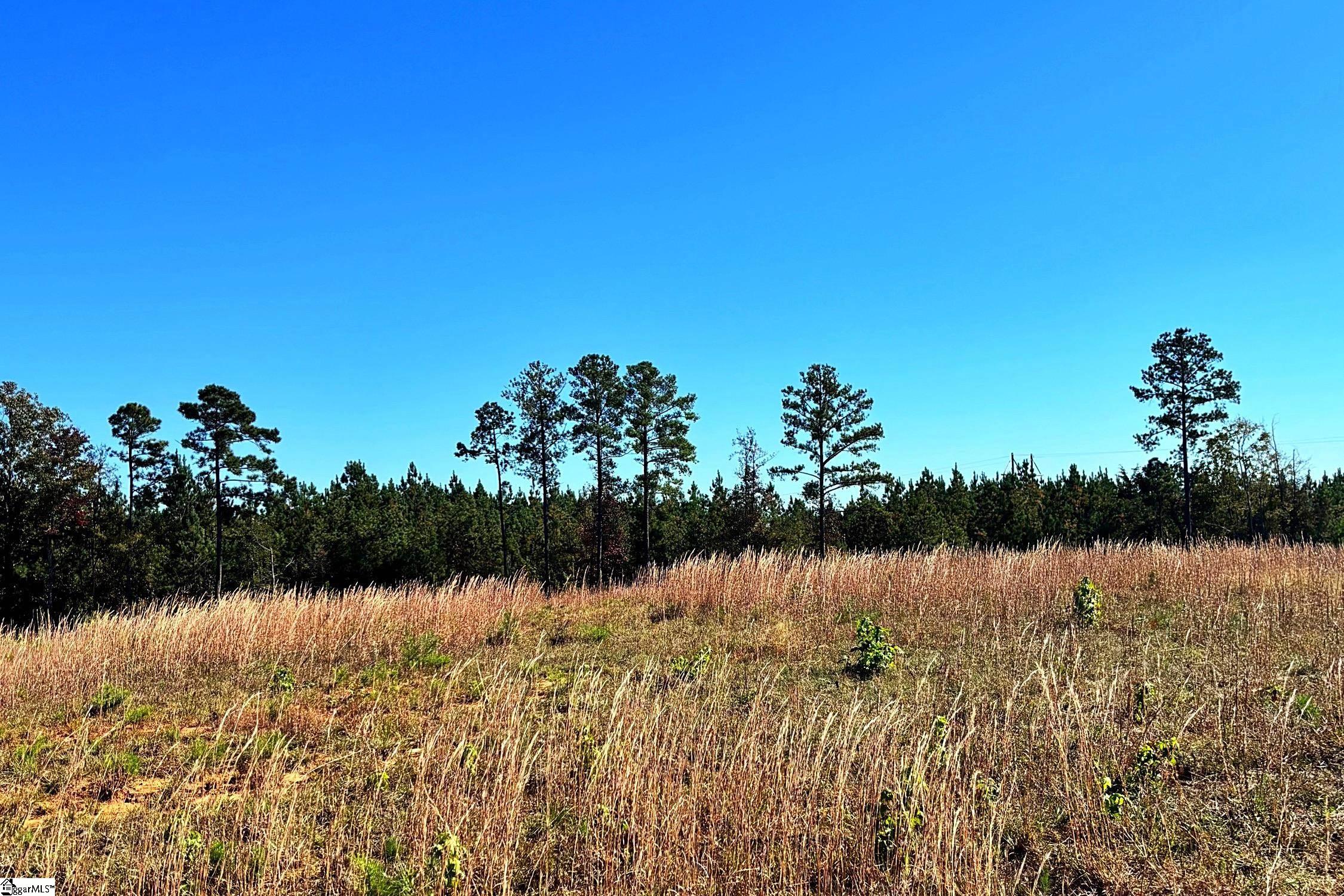 Homes for sale in Waterloo, SC | 00 Riverfork Rd, Waterloo, SC 29384 | MLS# 1573153