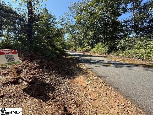 Homes for sale in Travelers Rest, SC | 24 Lone Cypress St, Travelers Rest, SC 29690 | MLS# 1573522