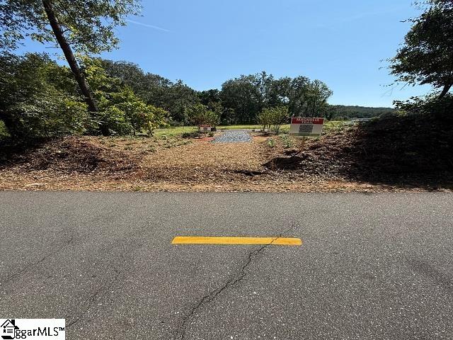 Homes for sale in Travelers Rest, SC | 24 Lone Cypress St, Travelers Rest, SC 29690 | MLS# 1573522