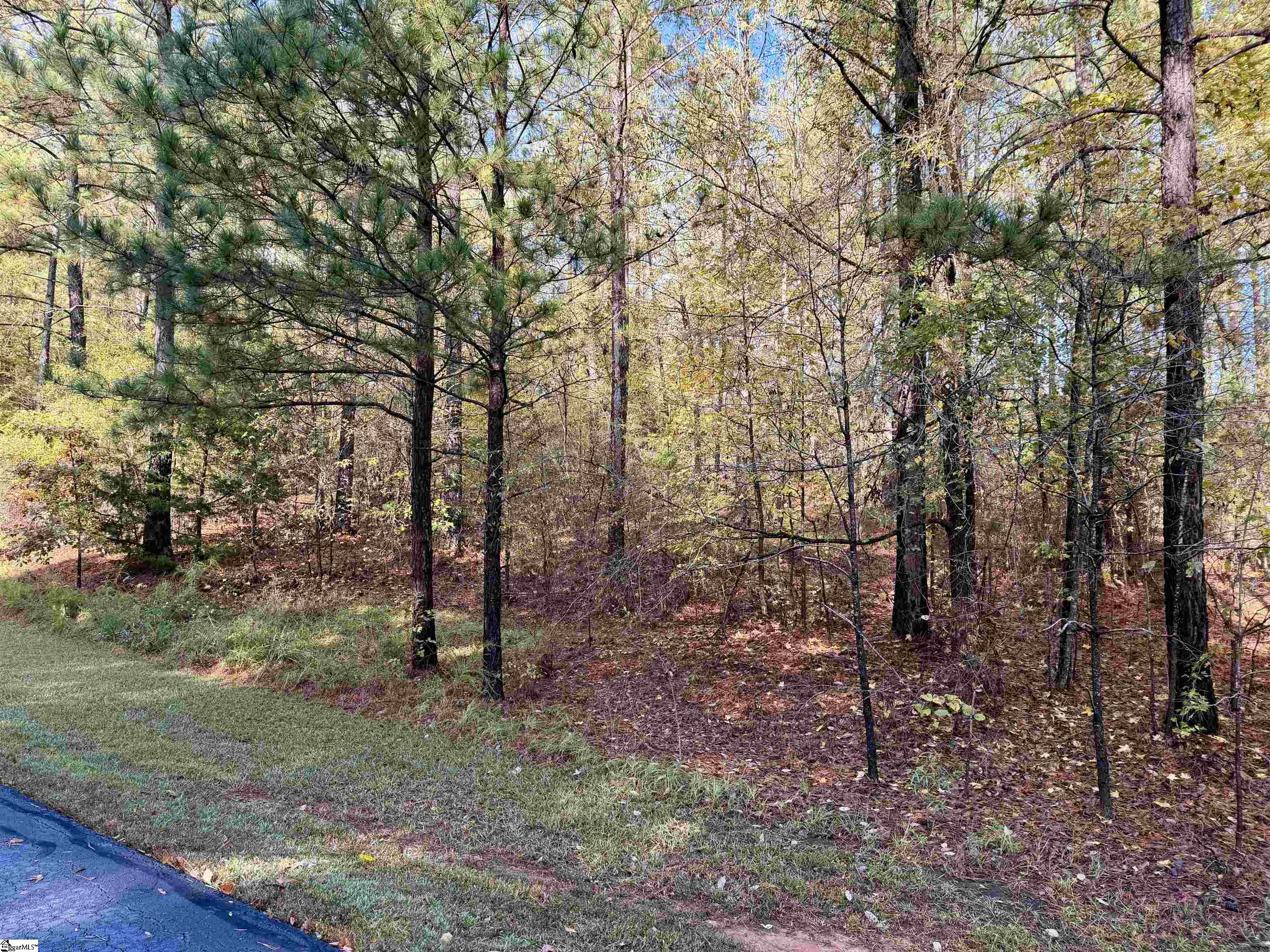 102 Flamingo Point Cross Hill, SC 29332