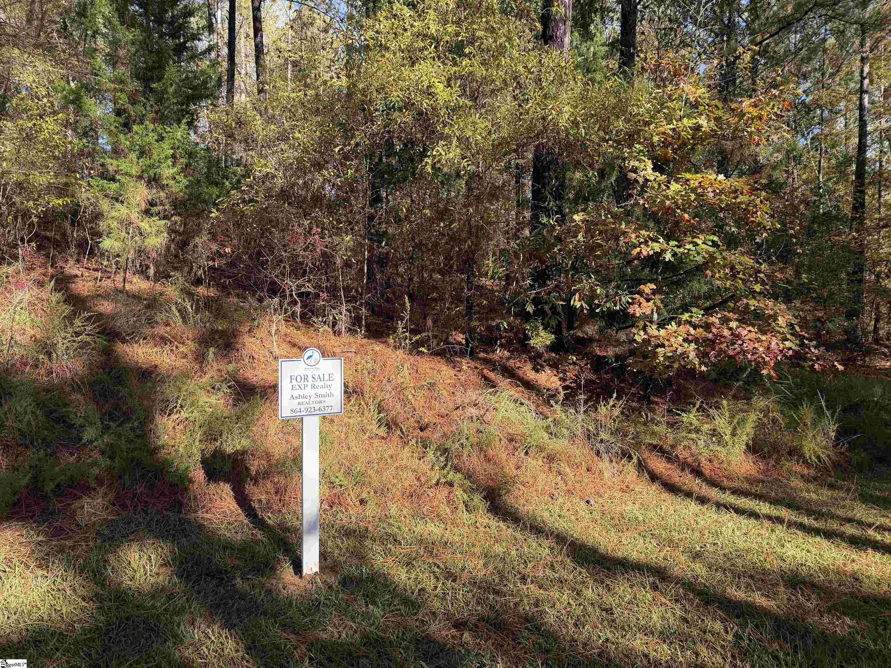 102 Flamingo Point Cross Hill, SC 29332