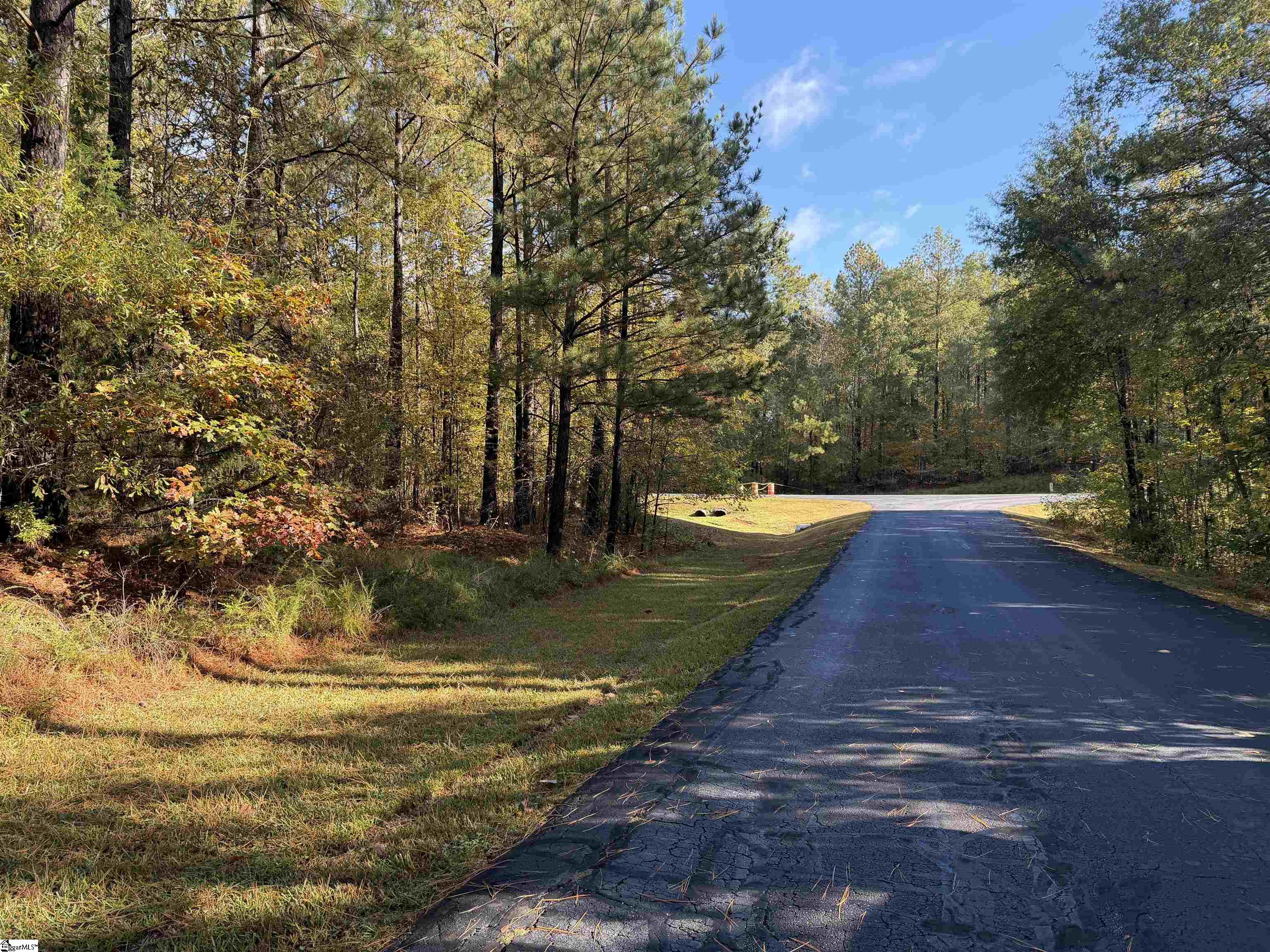 102 Flamingo Point Cross Hill, SC 29332