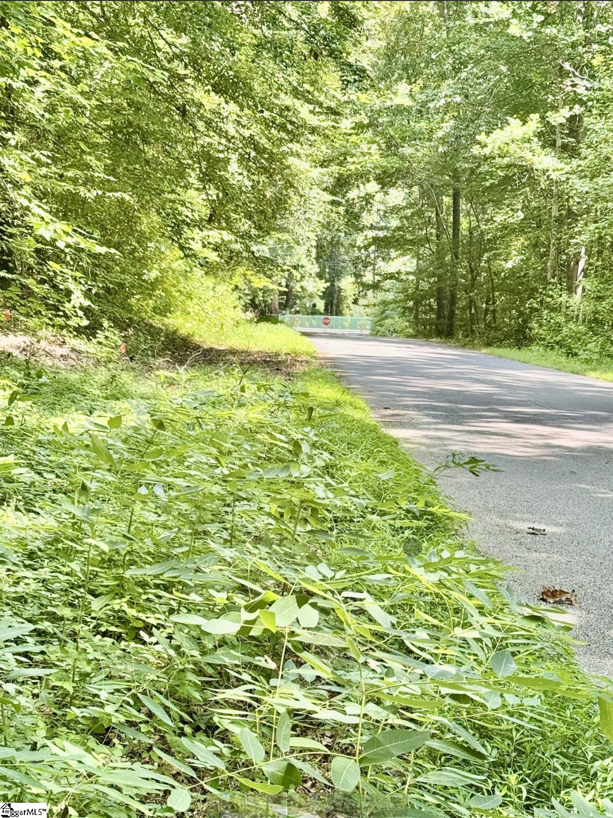 Homes for sale in Laurens, SC | Lot B Adair Pl, Laurens, SC 29360 | MLS# 1573843