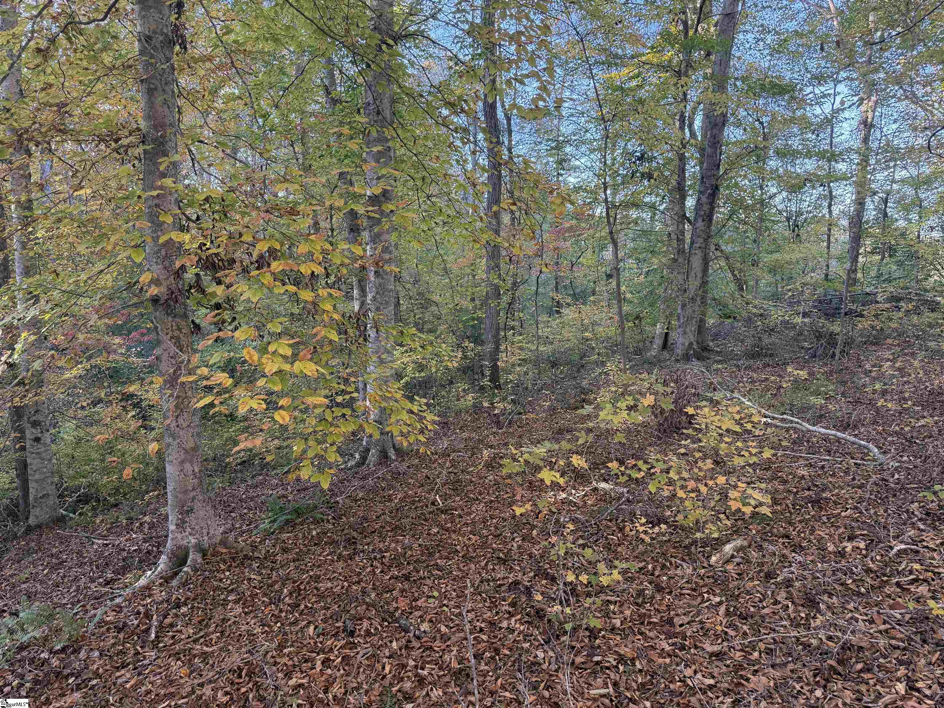 Homes for sale in Honea Path, SC | 247 Stallion Dr, Honea Path, SC 29654 | MLS# 1574019