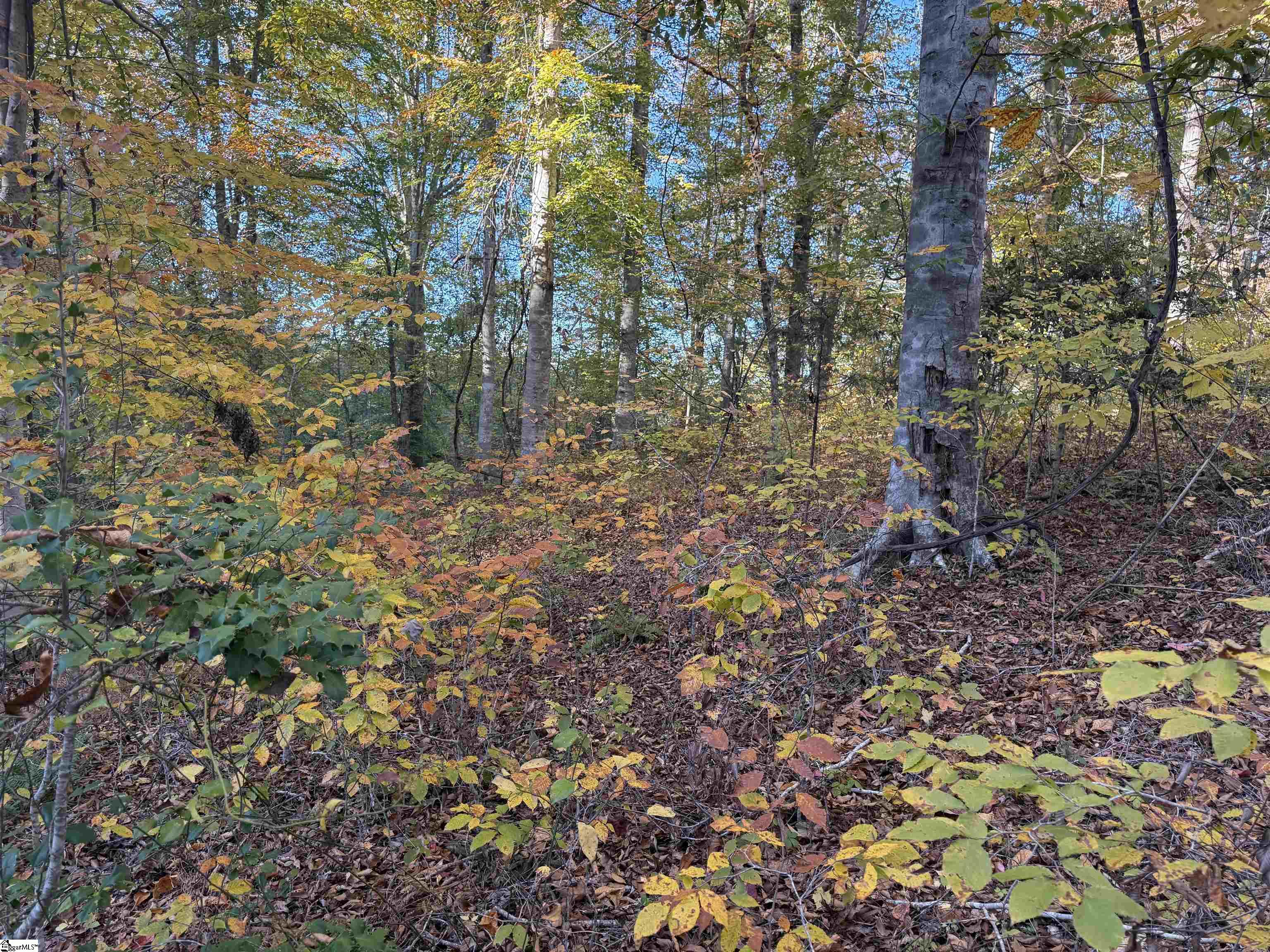 Homes for sale in Honea Path, SC | 247 Stallion Dr, Honea Path, SC 29654 | MLS# 1574019