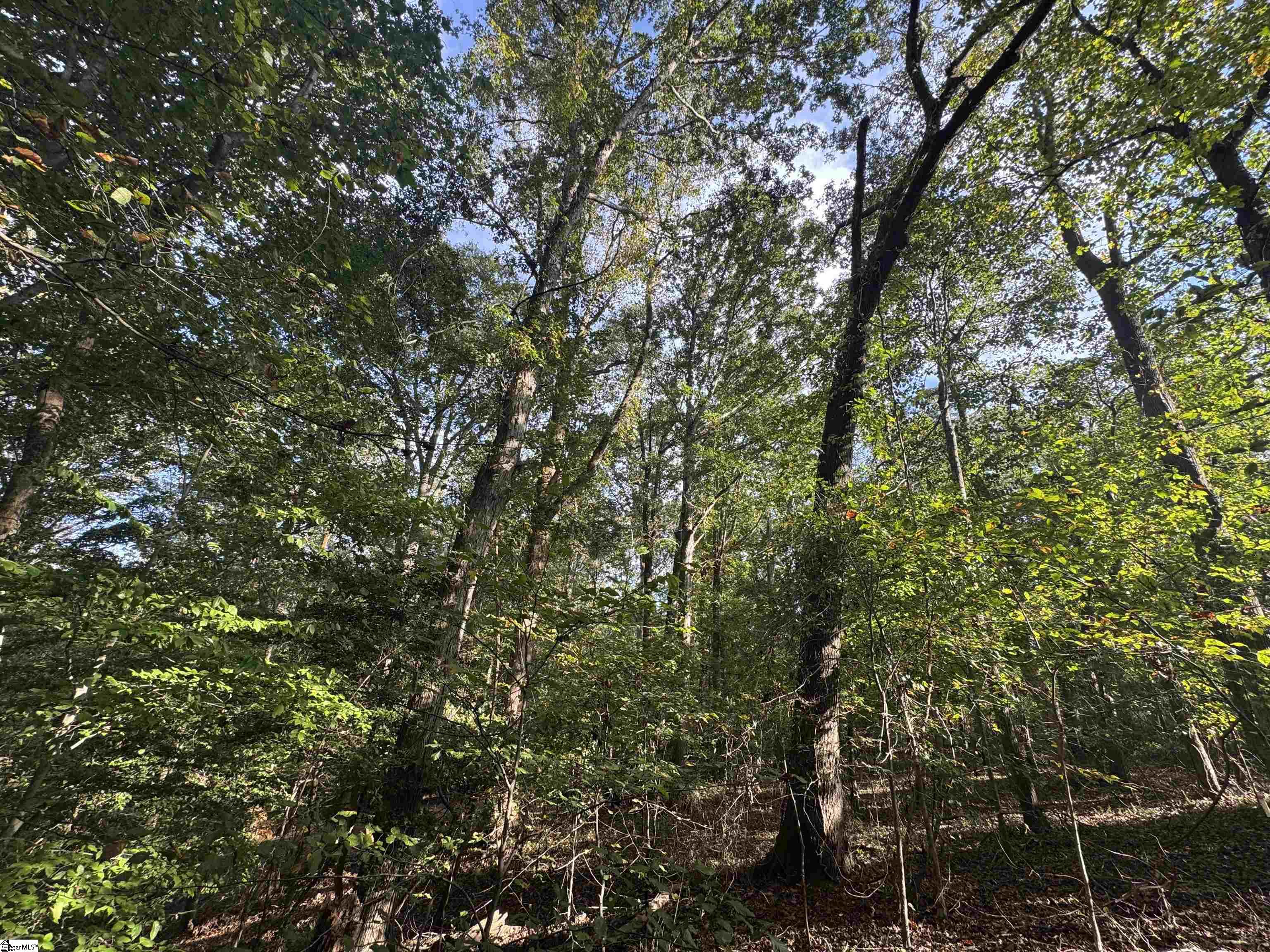 499 Acker Road Anderson, SC 29624