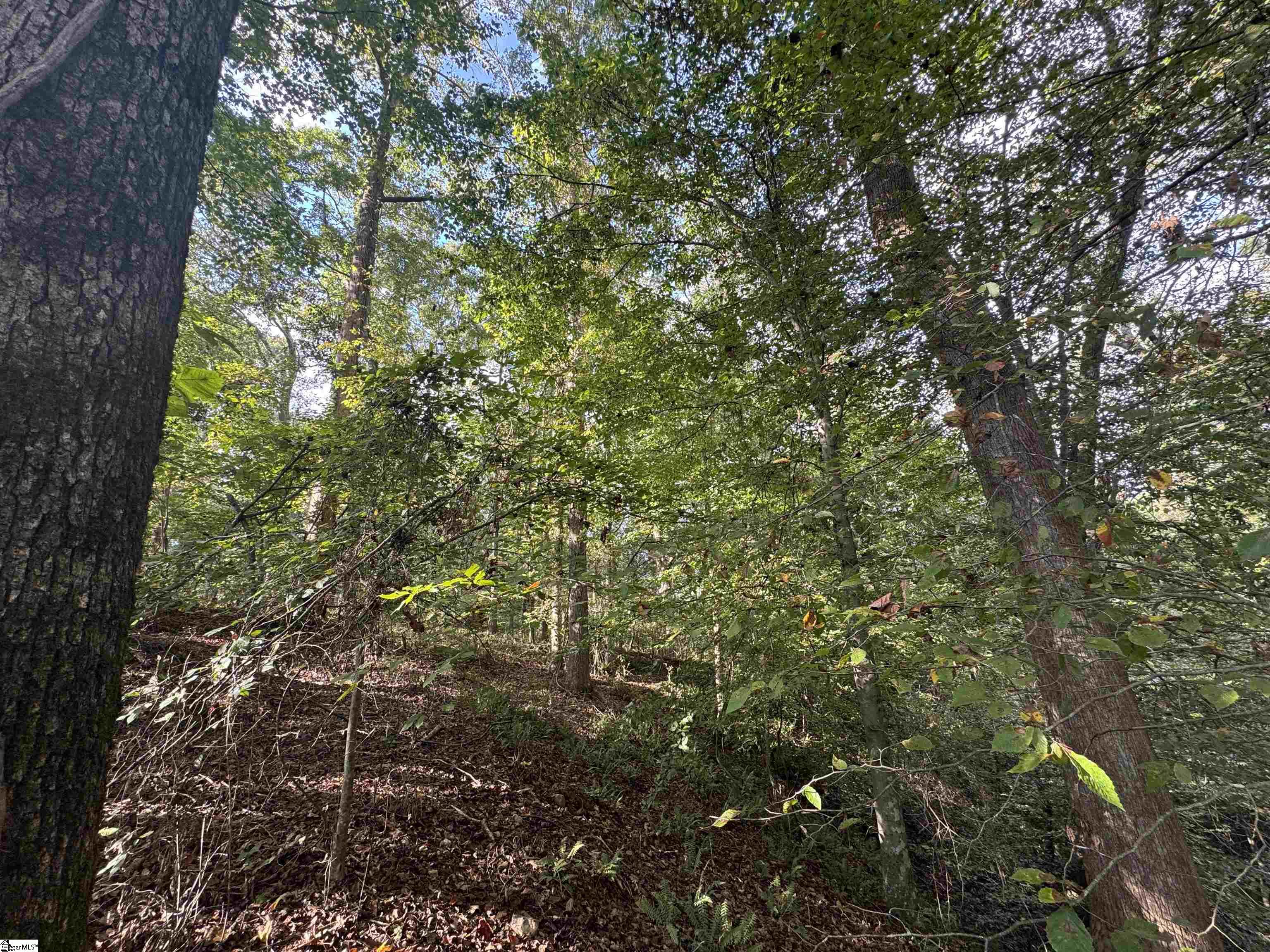 499 Acker Road Anderson, SC 29624