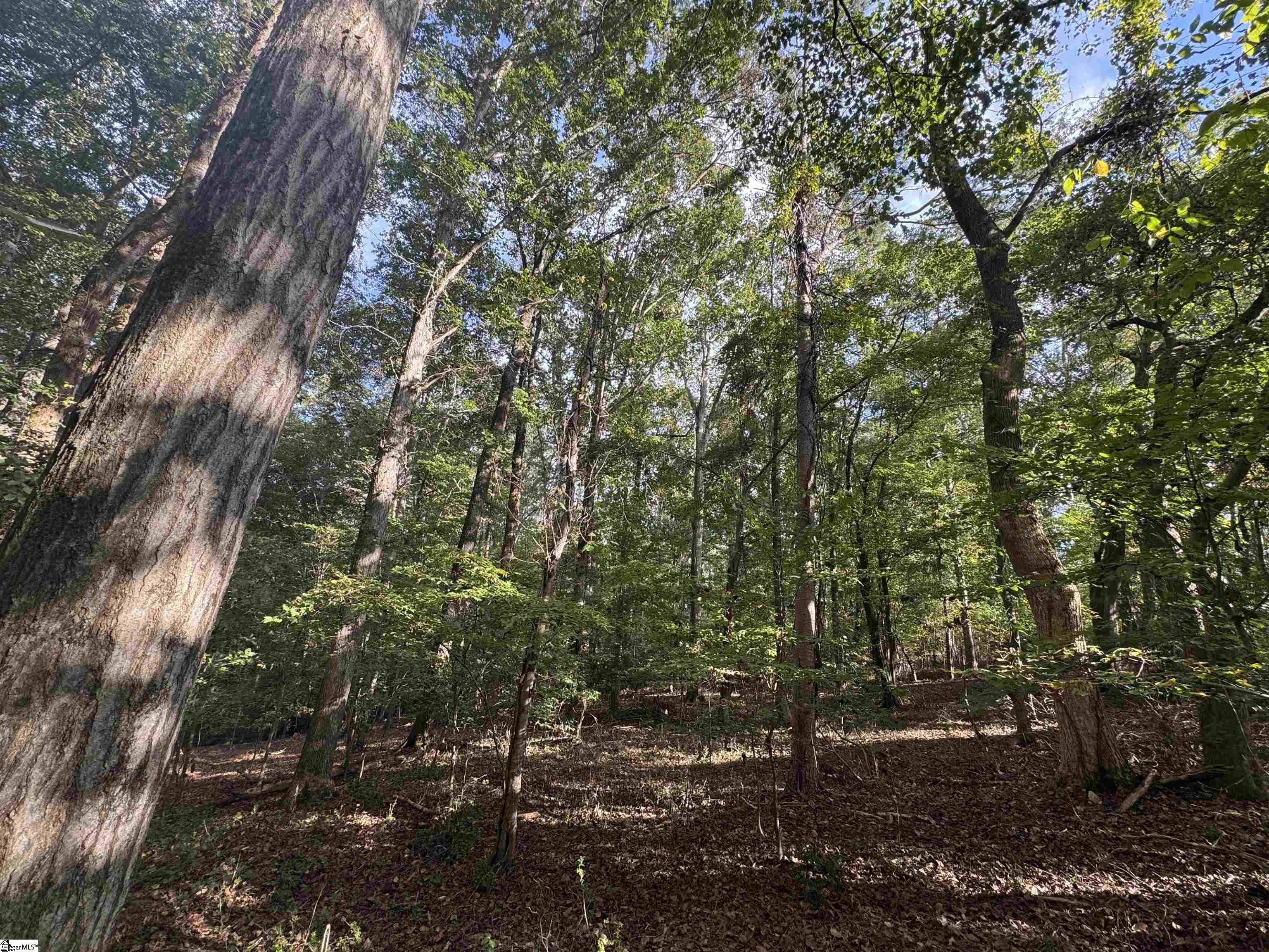 499 Acker Road Anderson, SC 29624