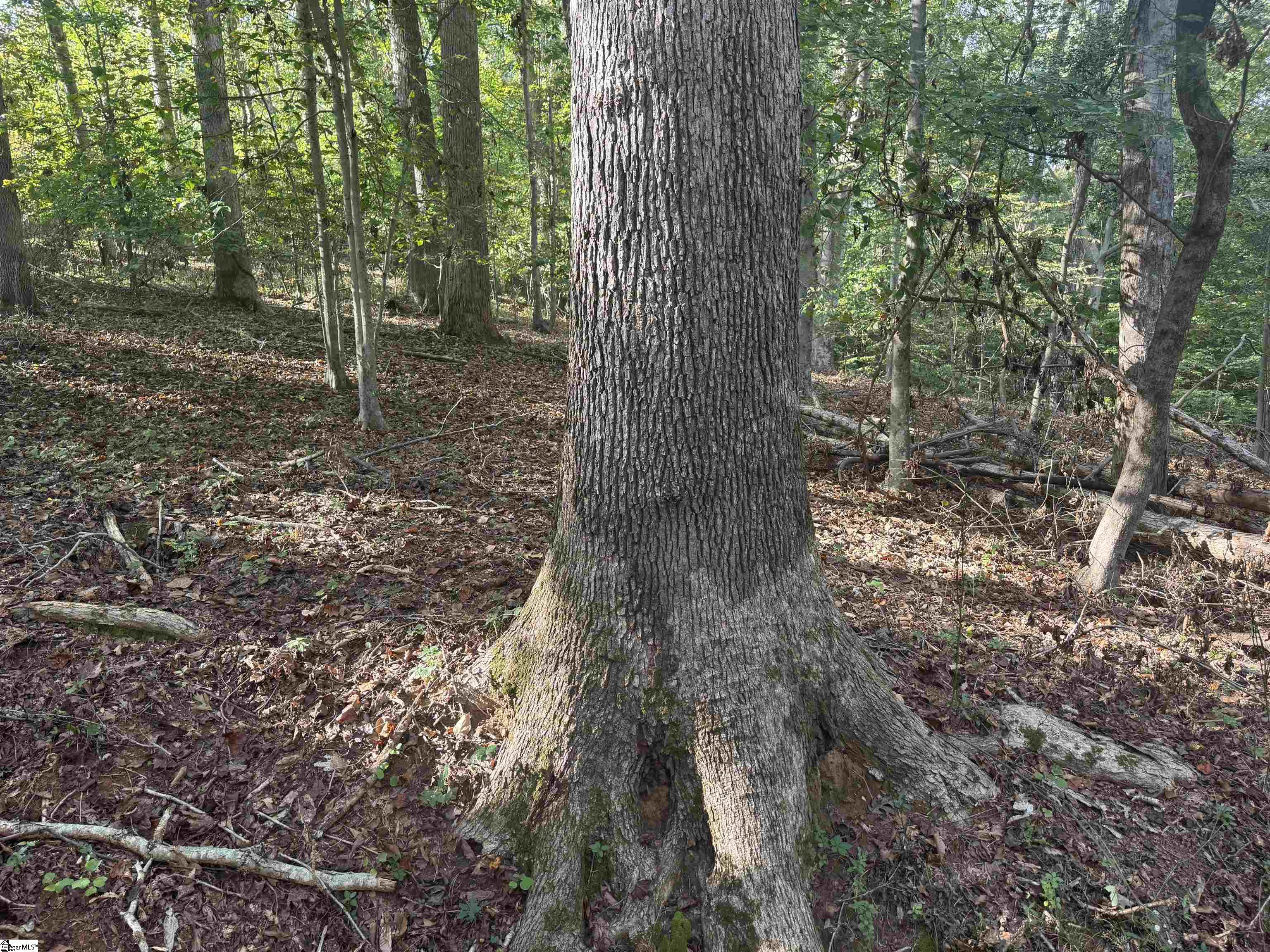 499 Acker Road Anderson, SC 29624