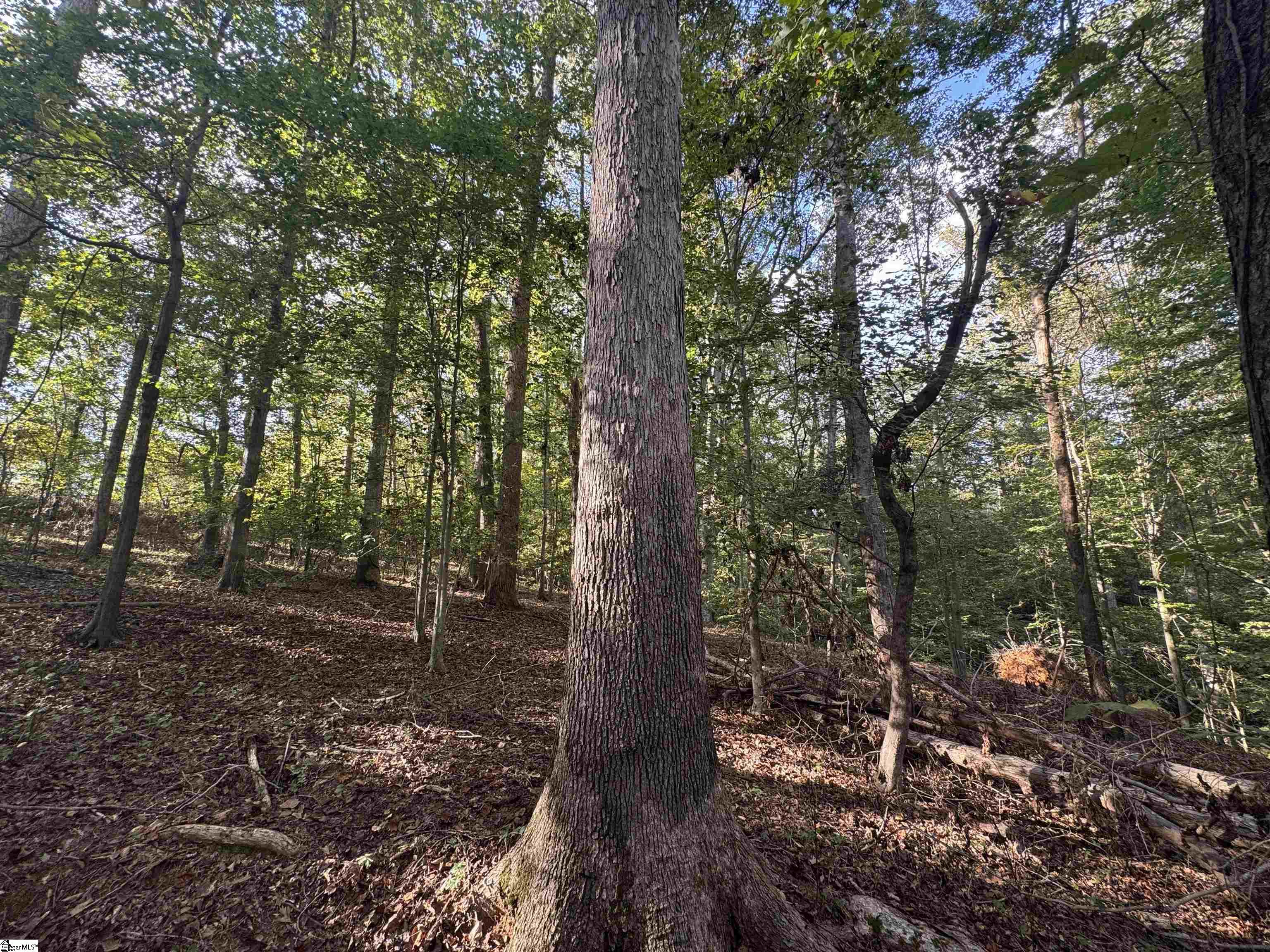 499 Acker Road Anderson, SC 29624