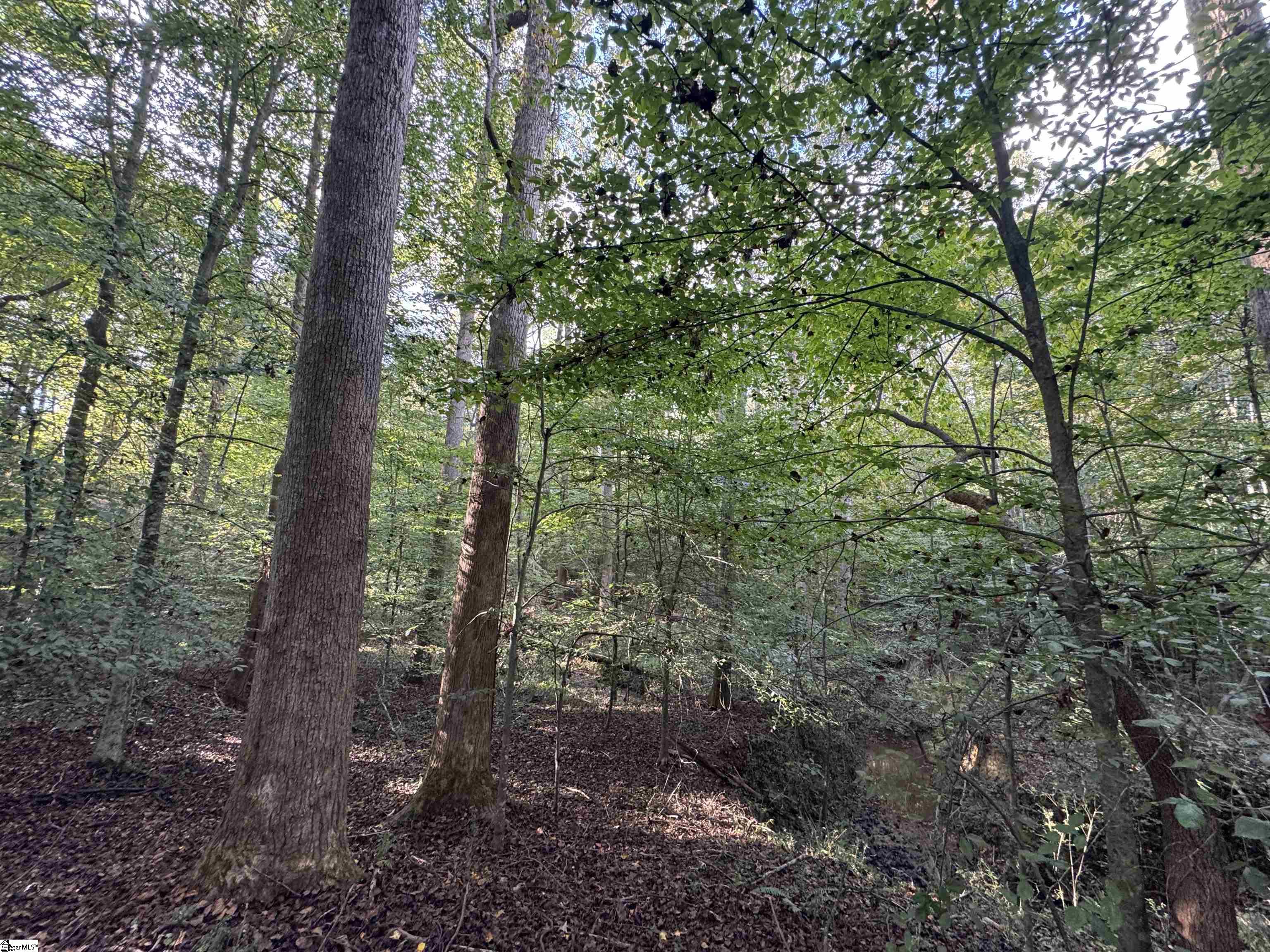 499 Acker Road Anderson, SC 29624