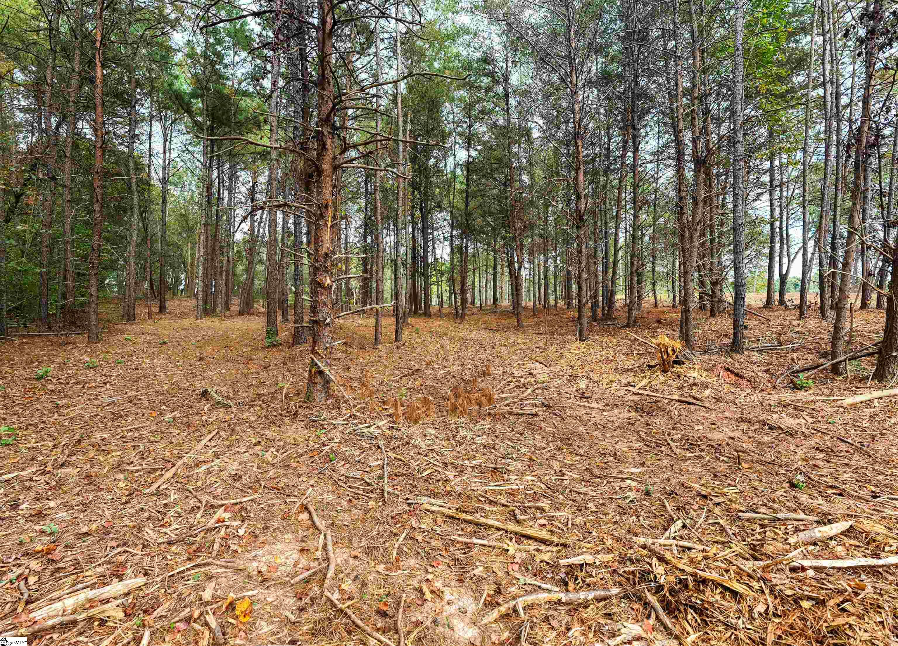 Homes for sale in Anderson, SC | Tract 4 Hwy 178 Hwy, Anderson, SC 29621 | MLS# 1574387