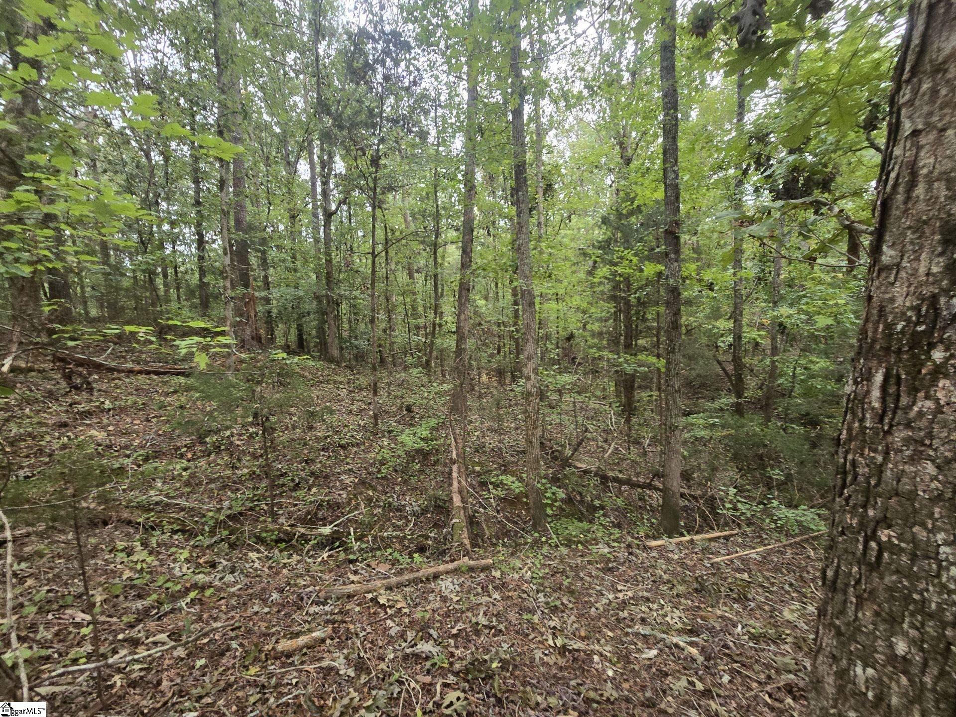 Homes for sale in Gray Court, SC | 1206 Cheek Cir, Gray Court, SC 29645 | MLS# 1574638