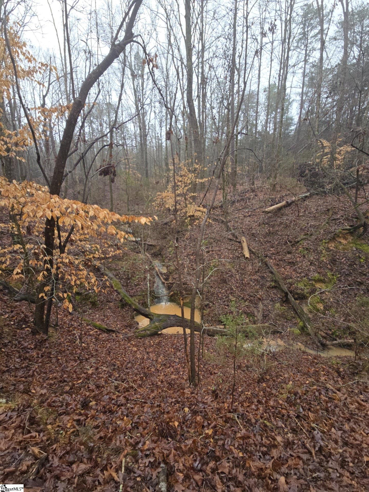 Homes for sale in Gray Court, SC | 1206 Cheek Cir, Gray Court, SC 29645 | MLS# 1574638