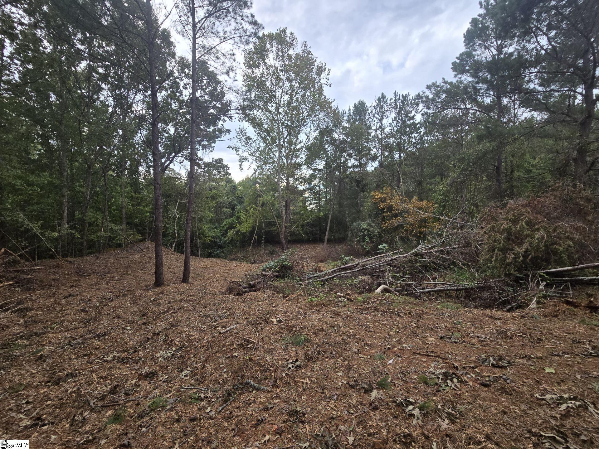 Homes for sale in Gray Court, SC | 1206 Cheek Cir, Gray Court, SC 29645 | MLS# 1574638