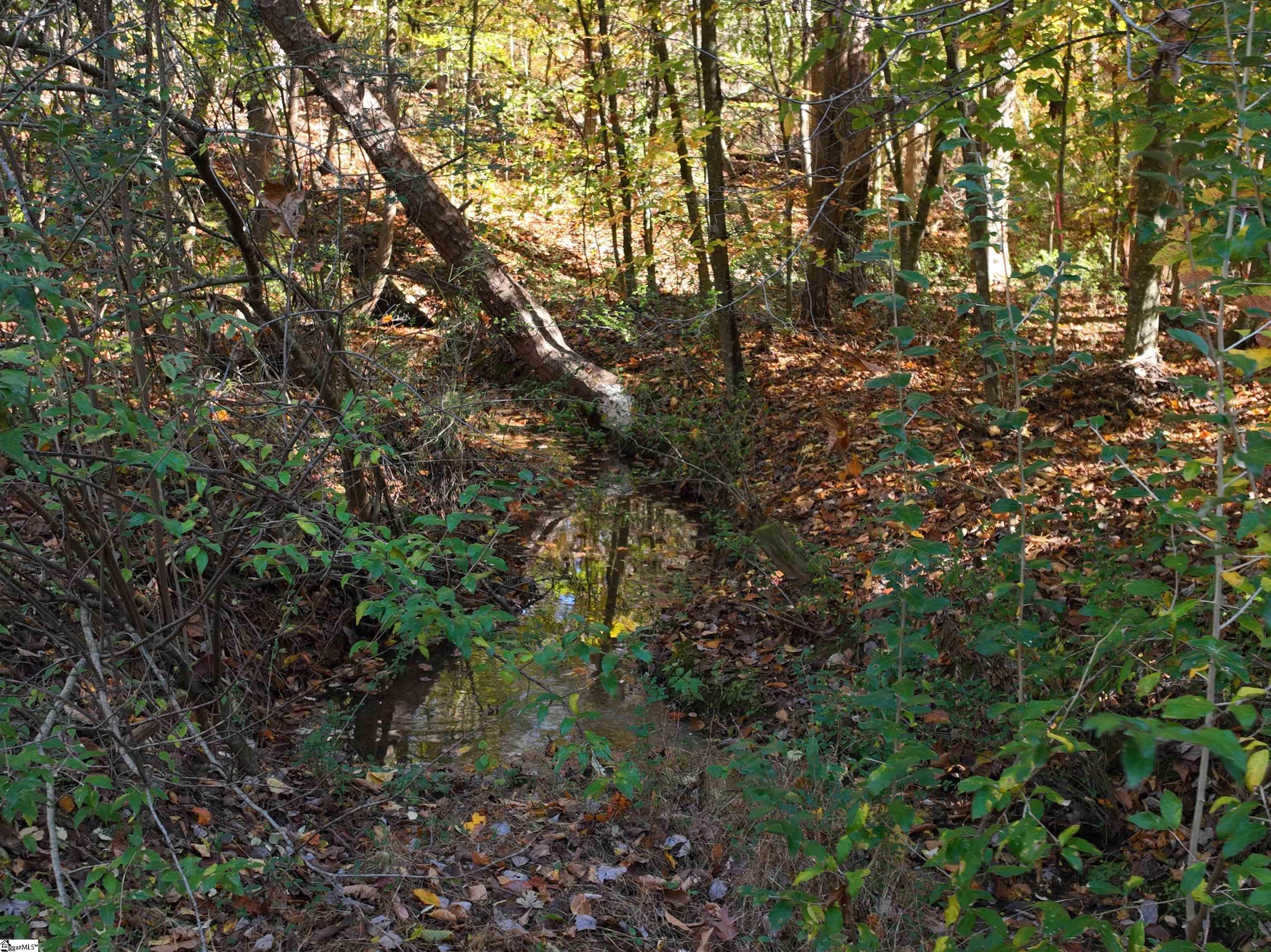 Homes for sale in Laurens, SC | 02 Patterson Dr, Laurens, SC 29630 | MLS# 1574681