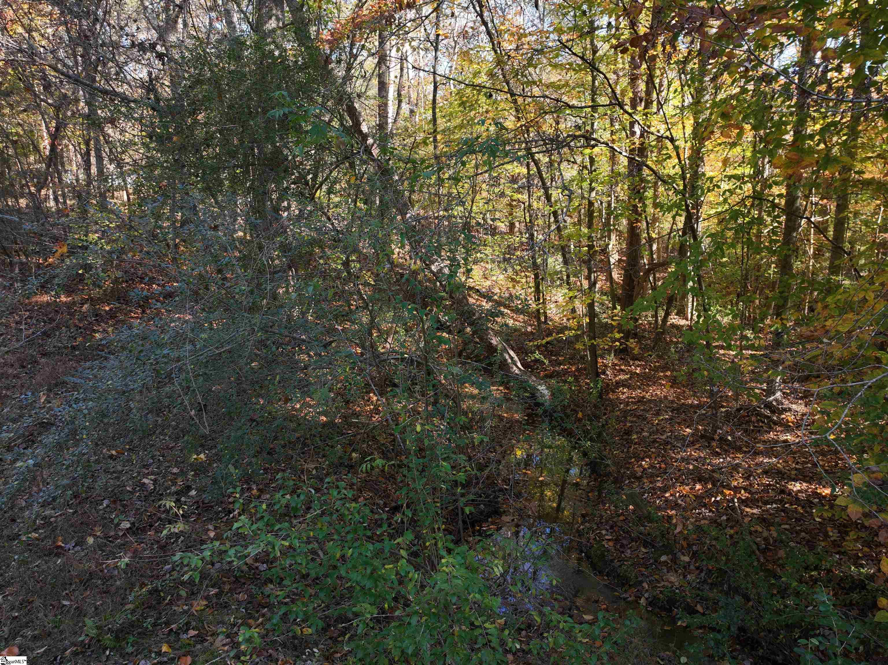 Homes for sale in Laurens, SC | 02 Patterson Dr, Laurens, SC 29630 | MLS# 1574681