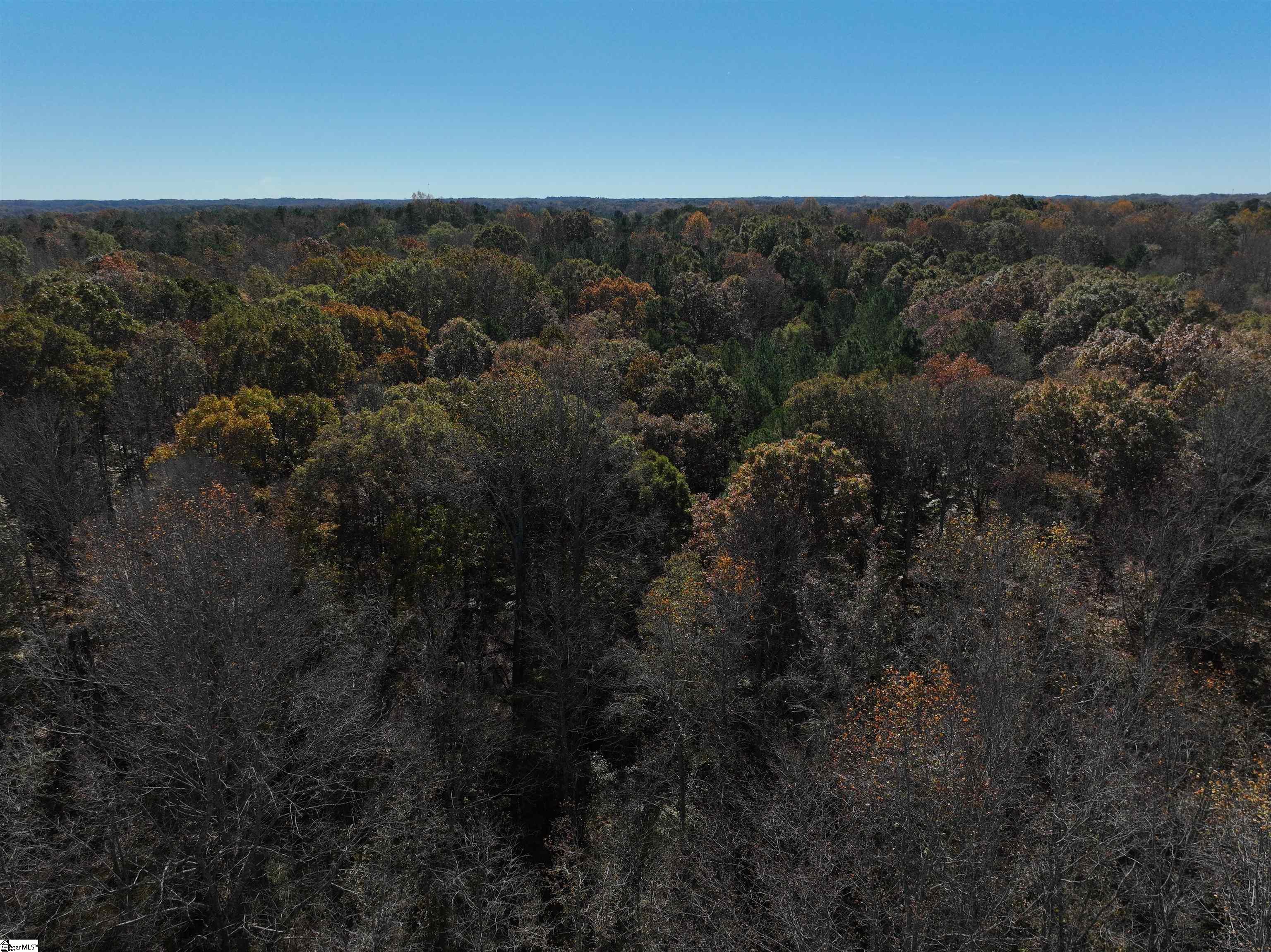 Homes for sale in Laurens, SC | 03 Blair Rd, Laurens, SC 29630 | MLS# 1574682