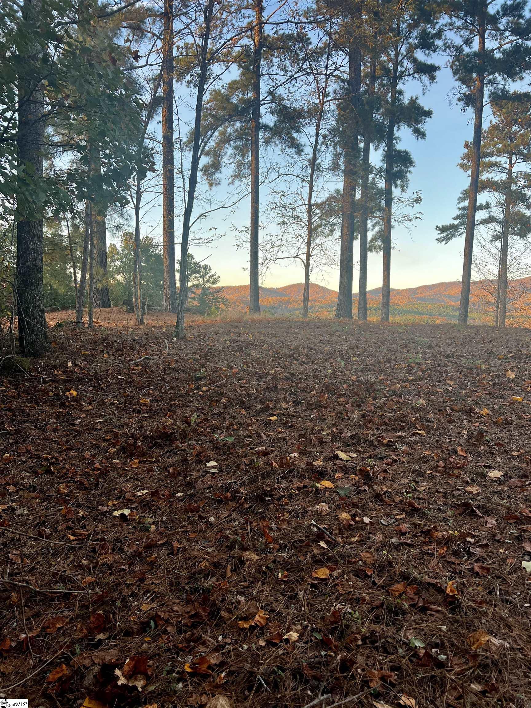 Homes for sale in Travelers Rest, SC | 108 Ryder Cup Dr, Travelers Rest, SC 29690 | MLS# 1574792