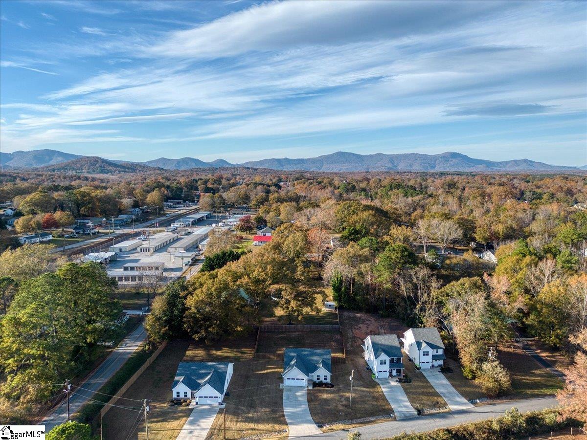 Homes for sale in Landrum, SC | 744 S Bomar Ave, Landrum, SC 29356 | MLS# 1575073