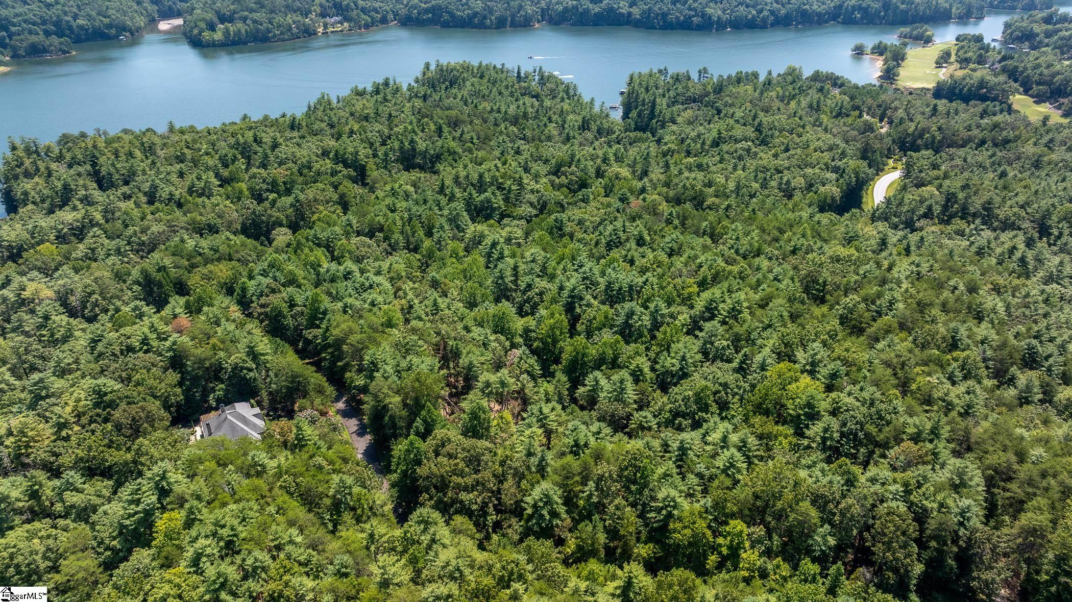 Homes for sale in Sunset, SC | 111 Sweetshrub Way, Sunset, SC 29685 | MLS# 1575093