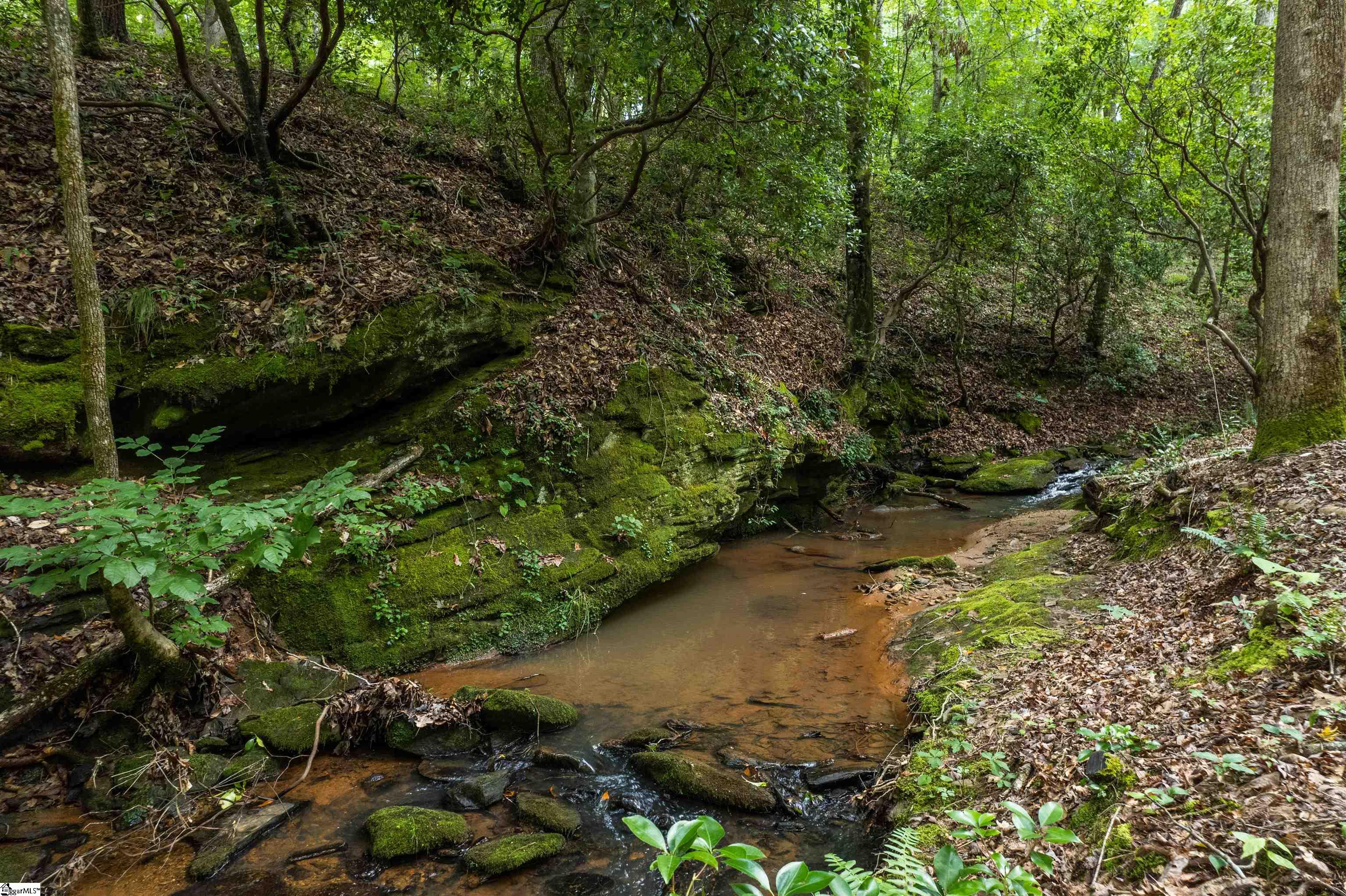TBD Colony Lane West Union, NC 29696