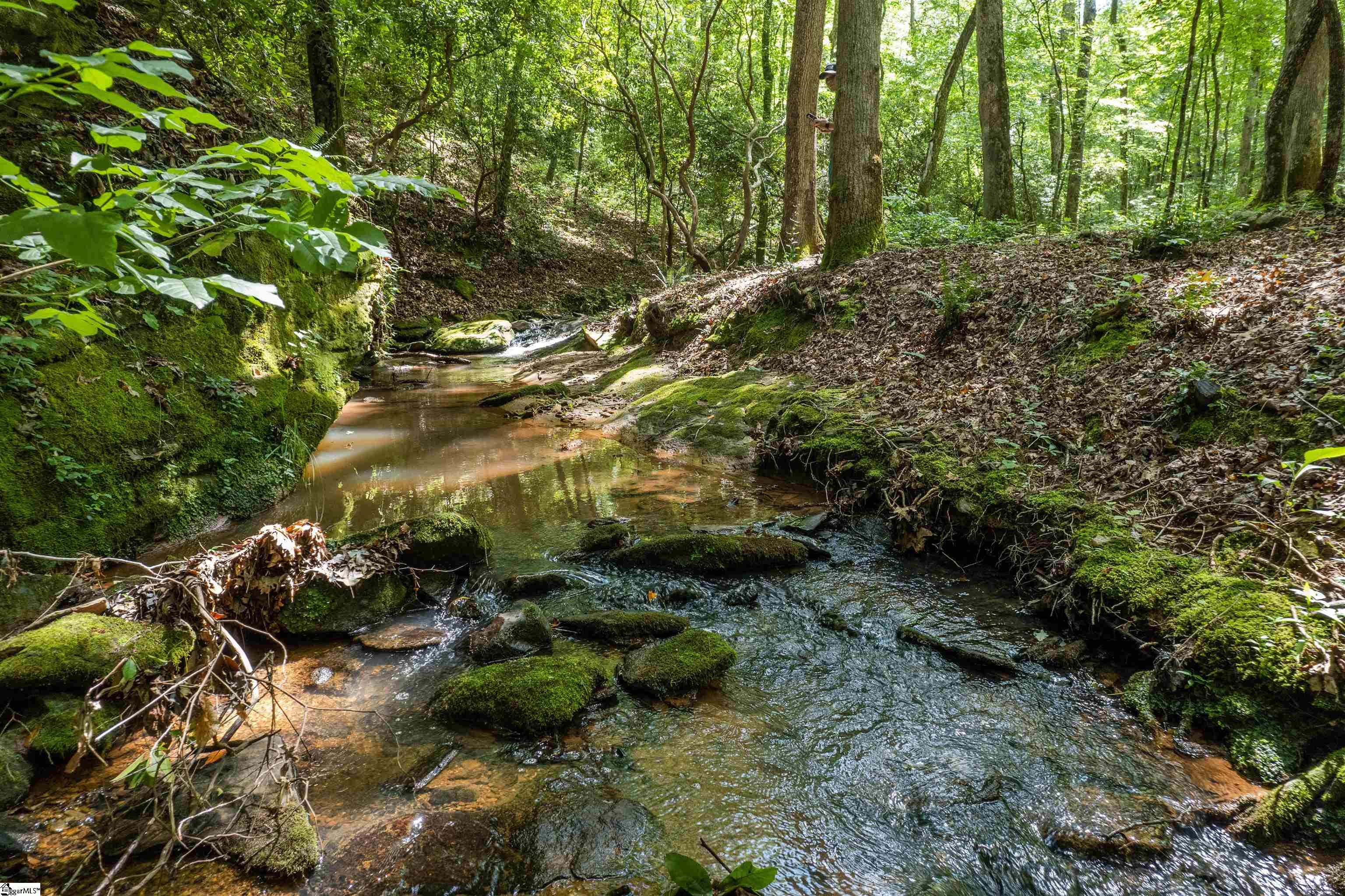 TBD Colony Lane West Union, NC 29696