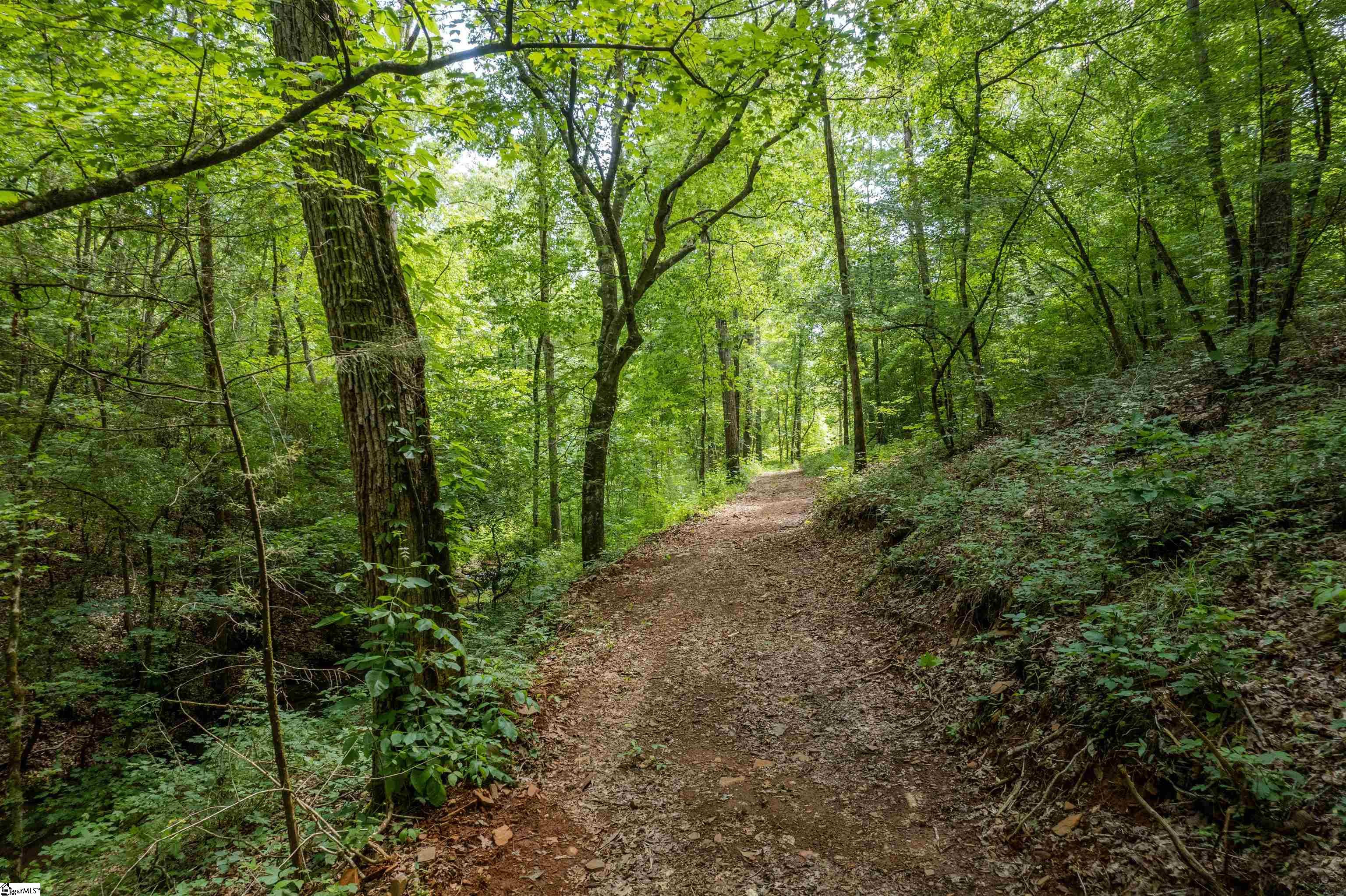 TBD Colony Lane West Union, NC 29696