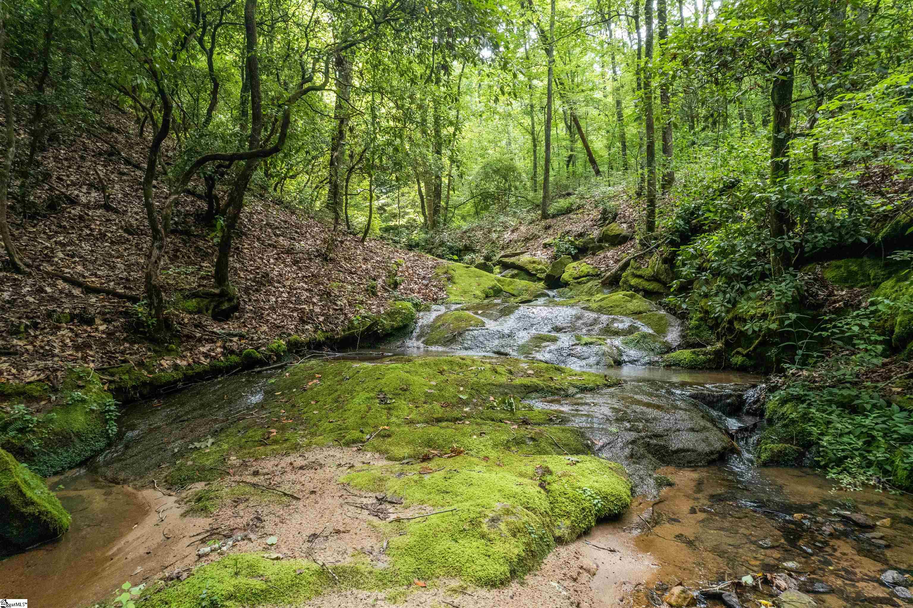 TBD Colony Lane West Union, NC 29696