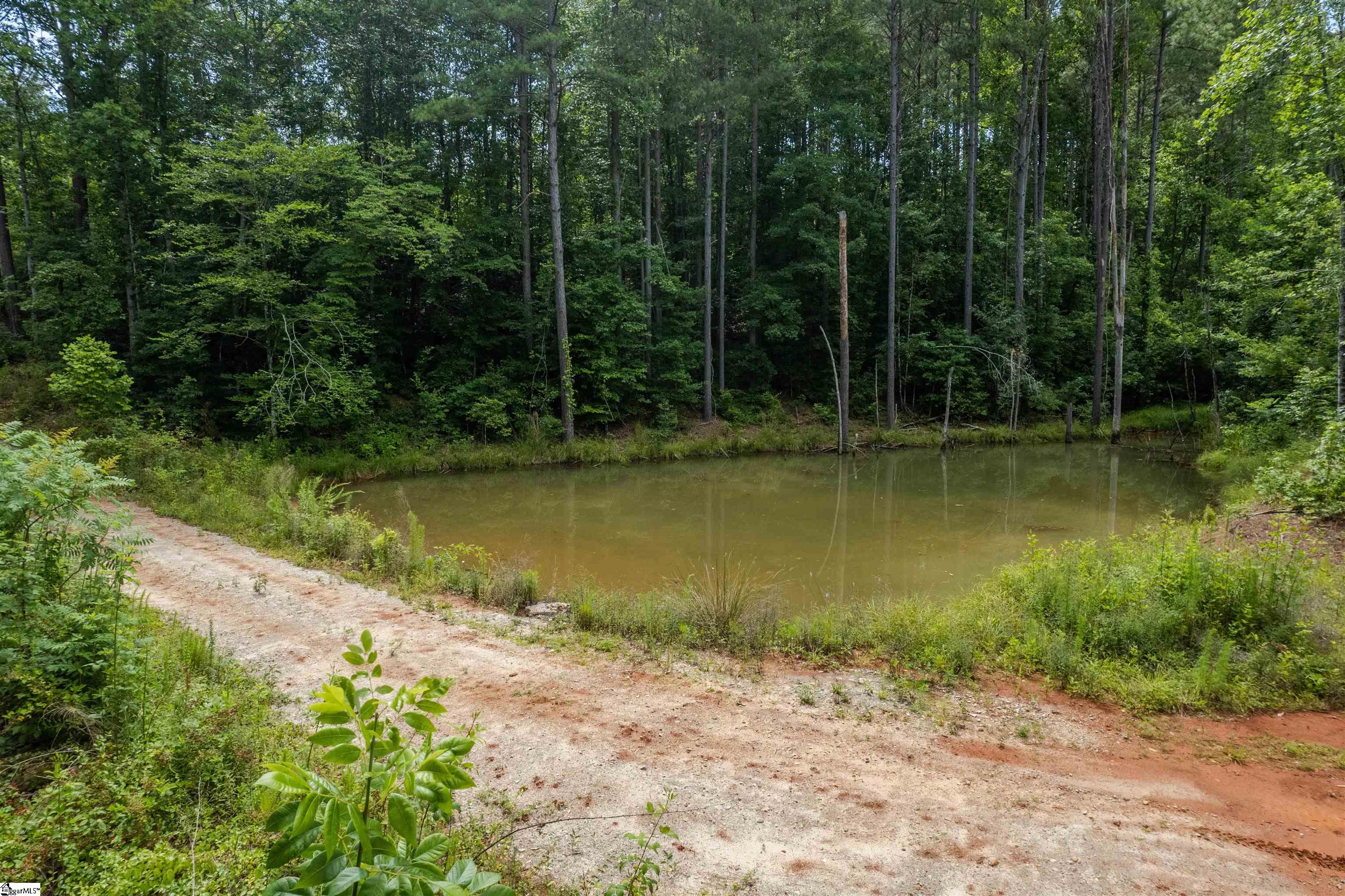 TBD Colony Lane West Union, NC 29696