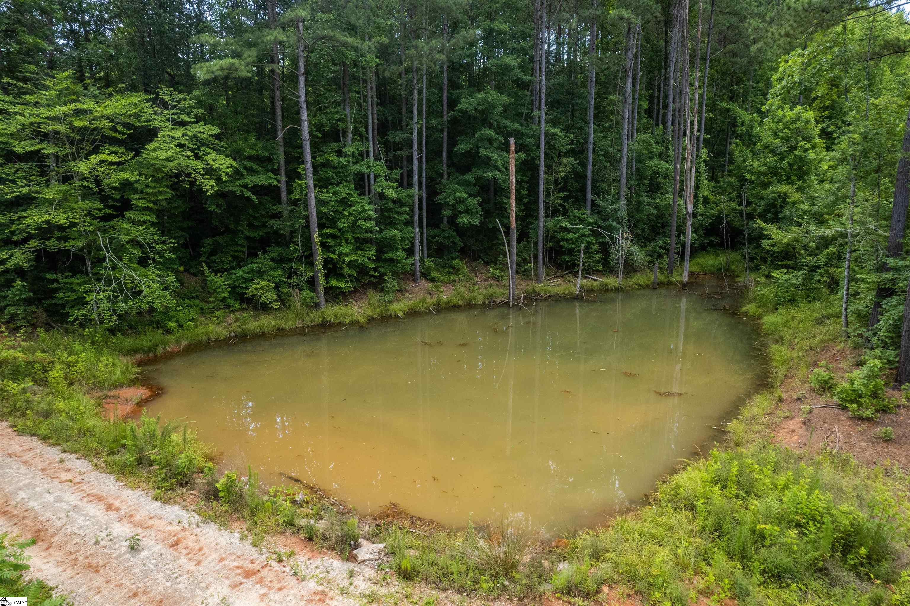 TBD Colony Lane West Union, NC 29696