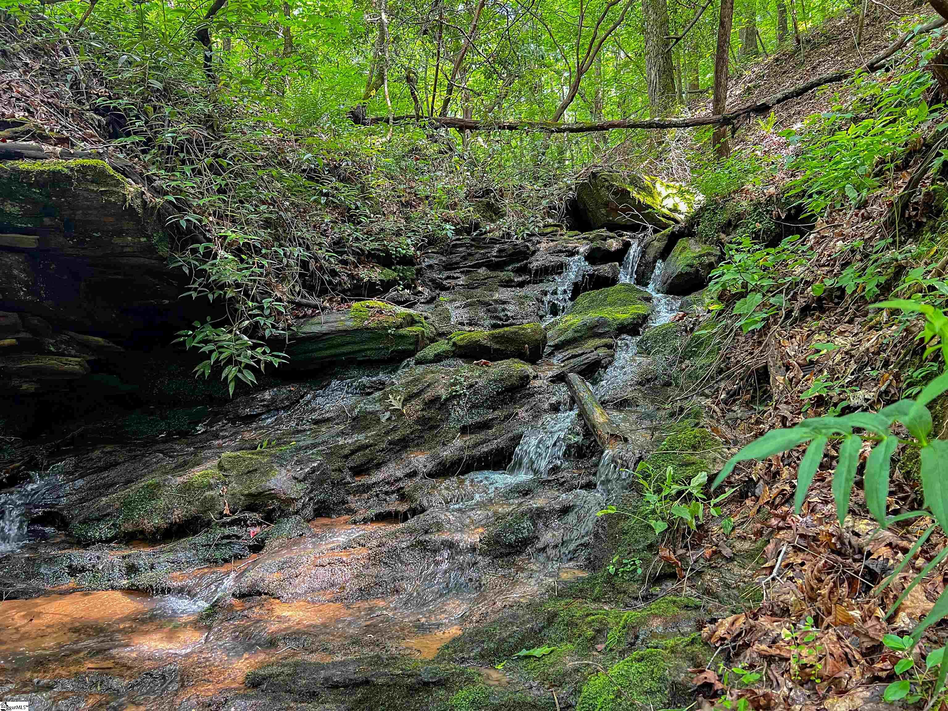 TBD Colony Lane West Union, NC 29696
