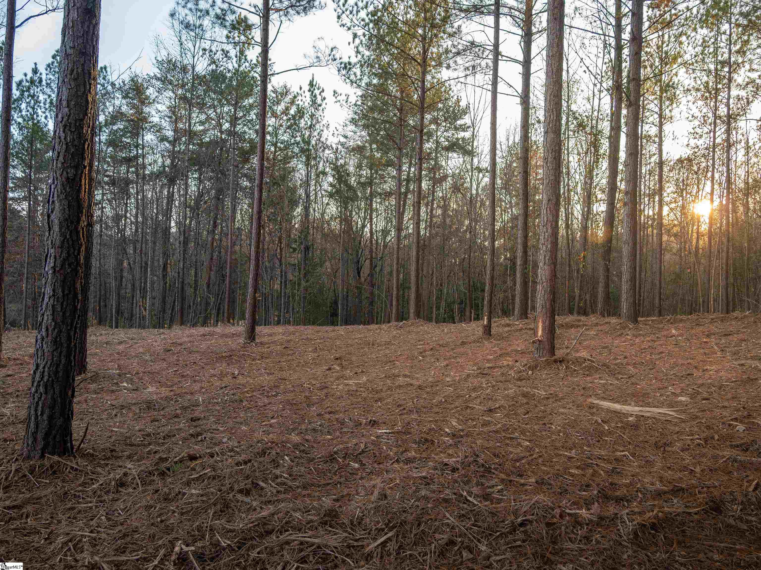 Homes for sale in Pickens, SC | 01 Concord Church Rd, Pickens, SC 29671 | MLS# 1575968