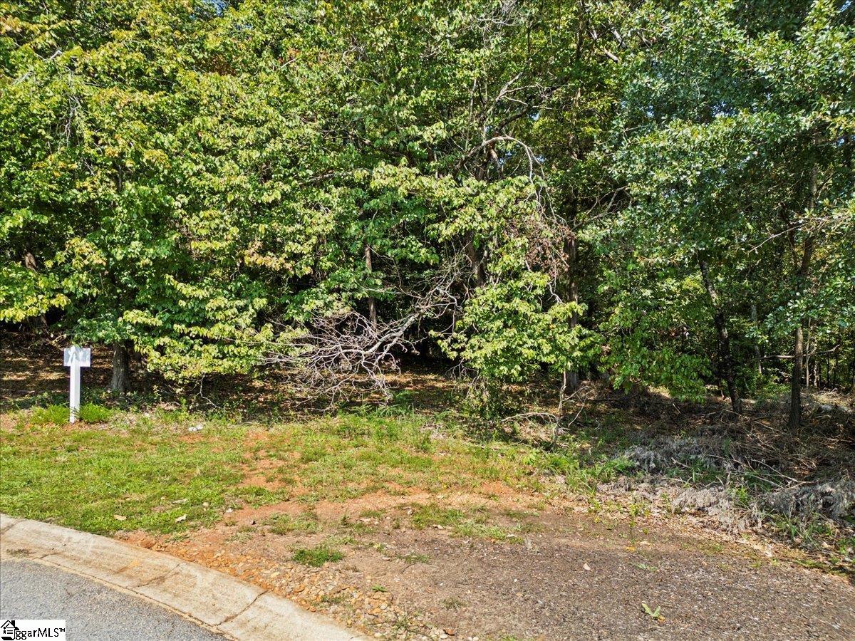 Homes for sale in Anderson, SC | Lot 46 Loudwater Dr, Anderson, SC 29621 | MLS# 1576026