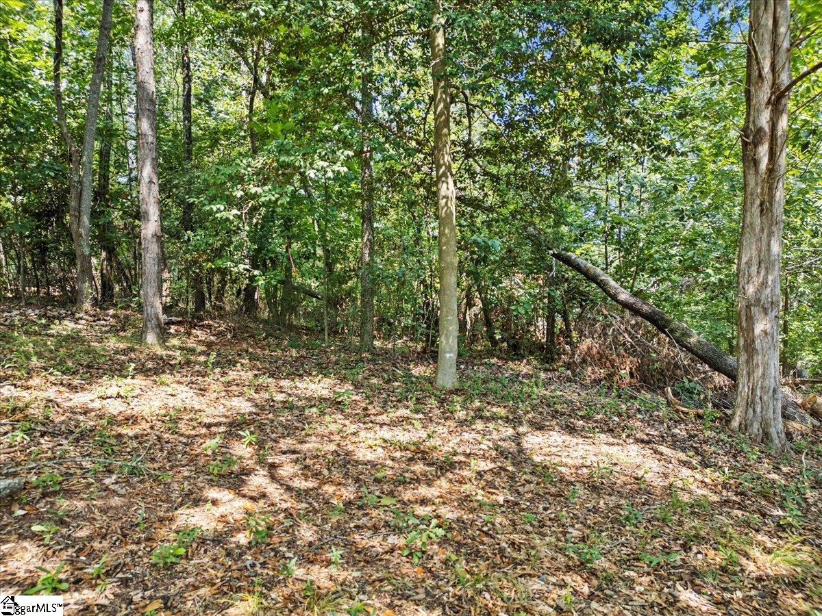 Homes for sale in Anderson, SC | Lot 46 Loudwater Dr, Anderson, SC 29621 | MLS# 1576026