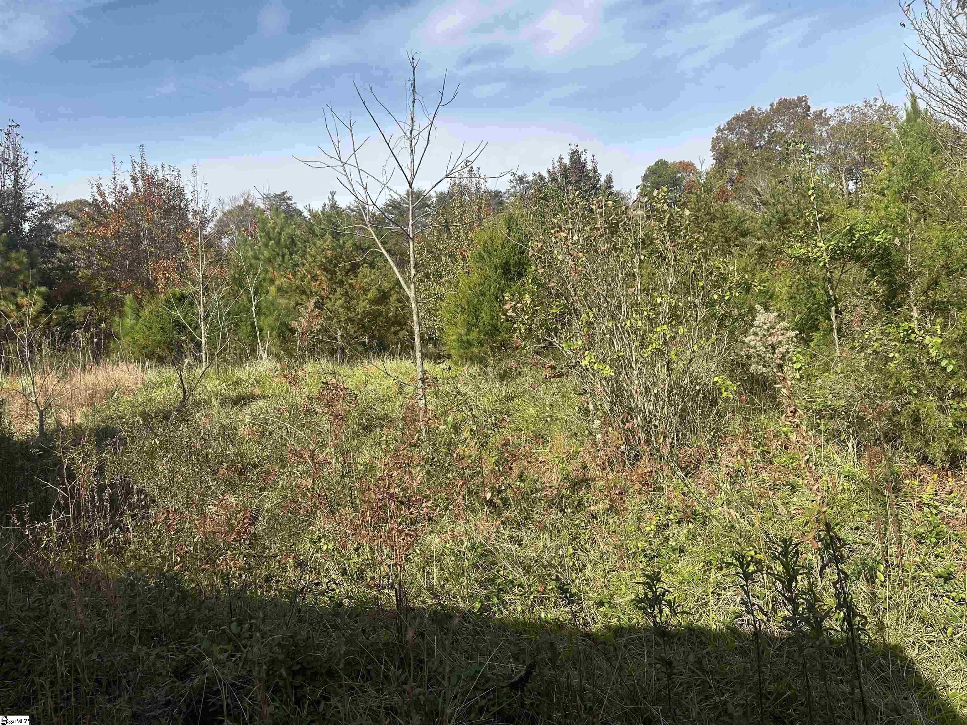 1948 Fews Chapel Road Greer, SC 29651