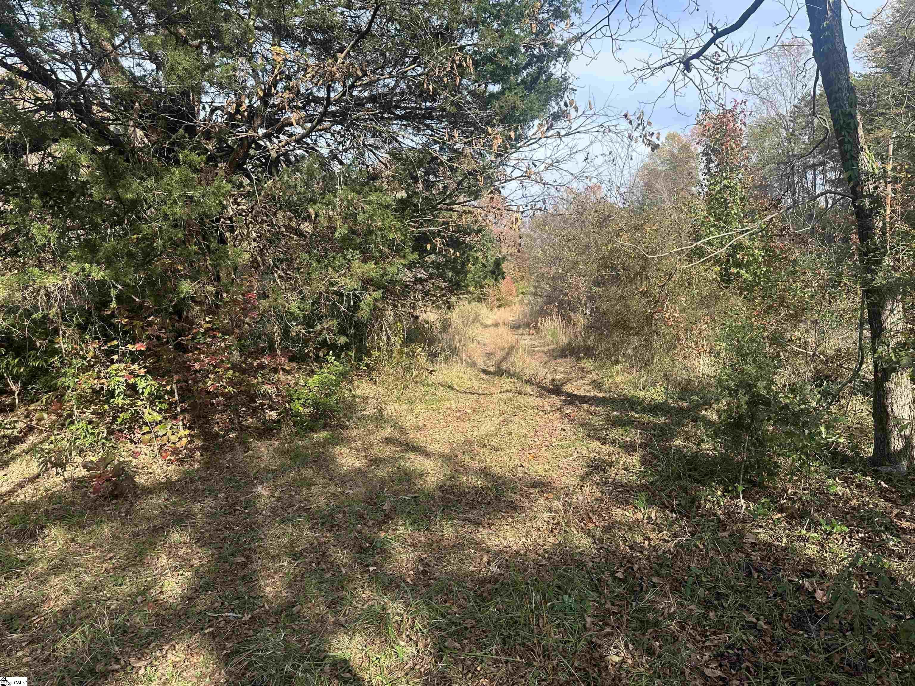 1948 Fews Chapel Road Greer, SC 29651