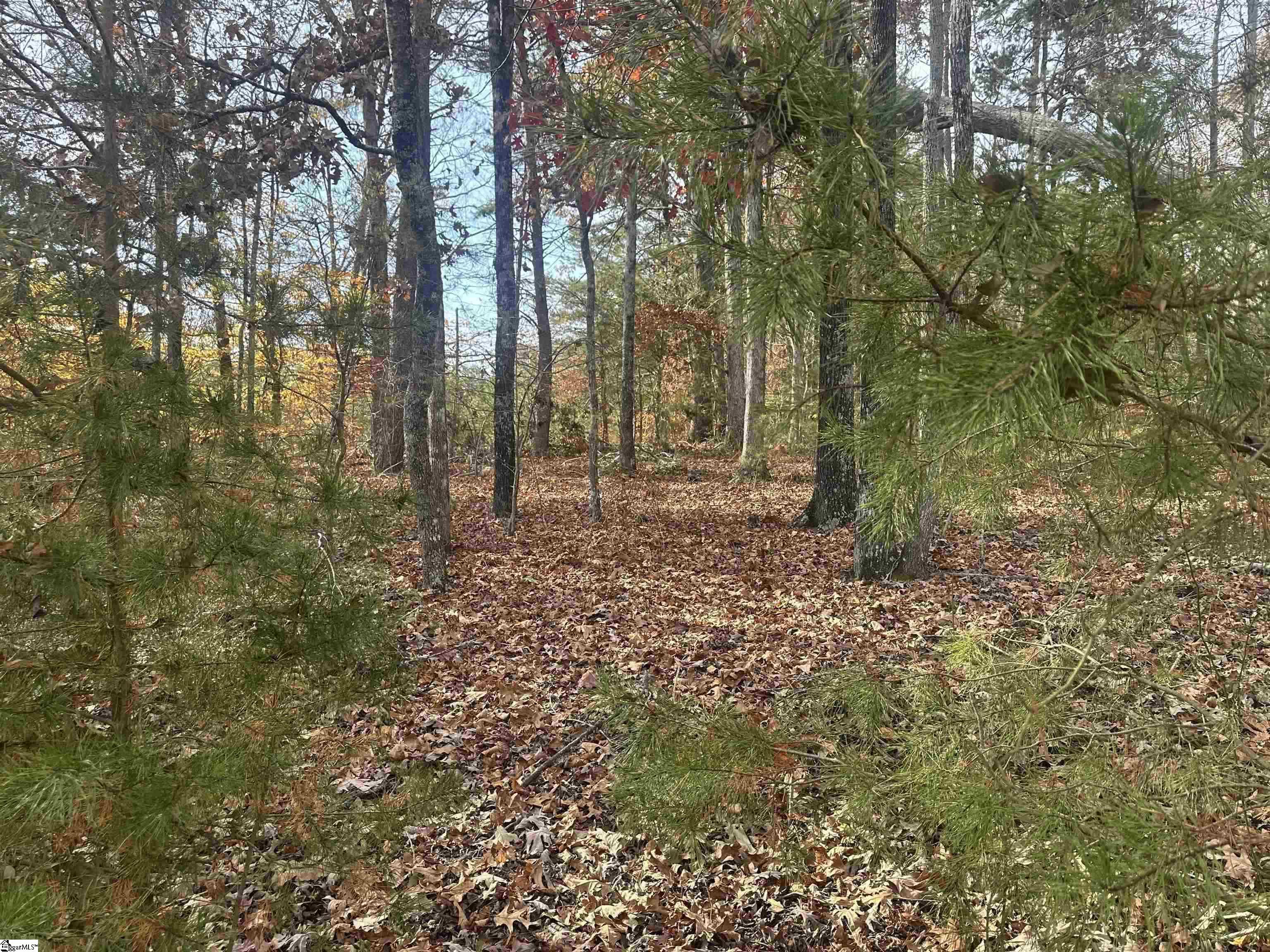 1948 Fews Chapel Road Greer, SC 29651