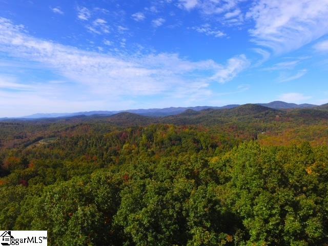 Homes for sale in Landrum, SC | 0 Hwy 11 Hwy, Landrum, SC 29356 | MLS# 1576281