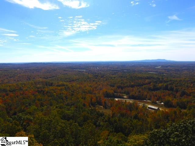 Homes for sale in Landrum, SC | 0 Hwy 11 Hwy, Landrum, SC 29356 | MLS# 1576281