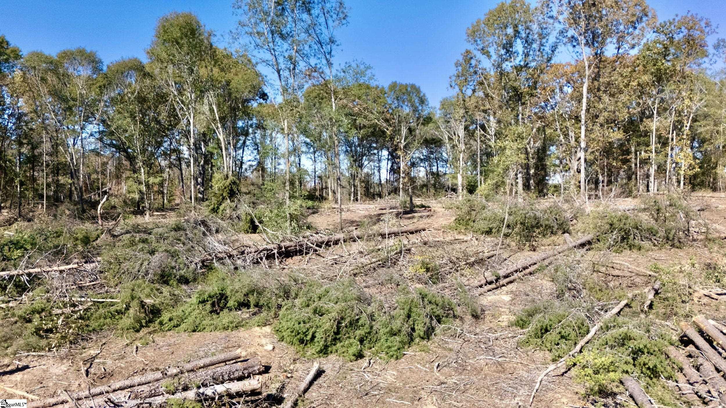 Antreville Highway UNIT Lot 1 Iva, SC 29655