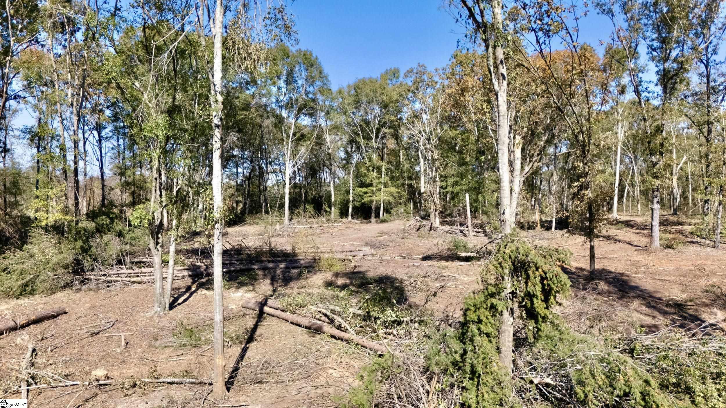 Antreville Highway UNIT Lot 1 Iva, SC 29655