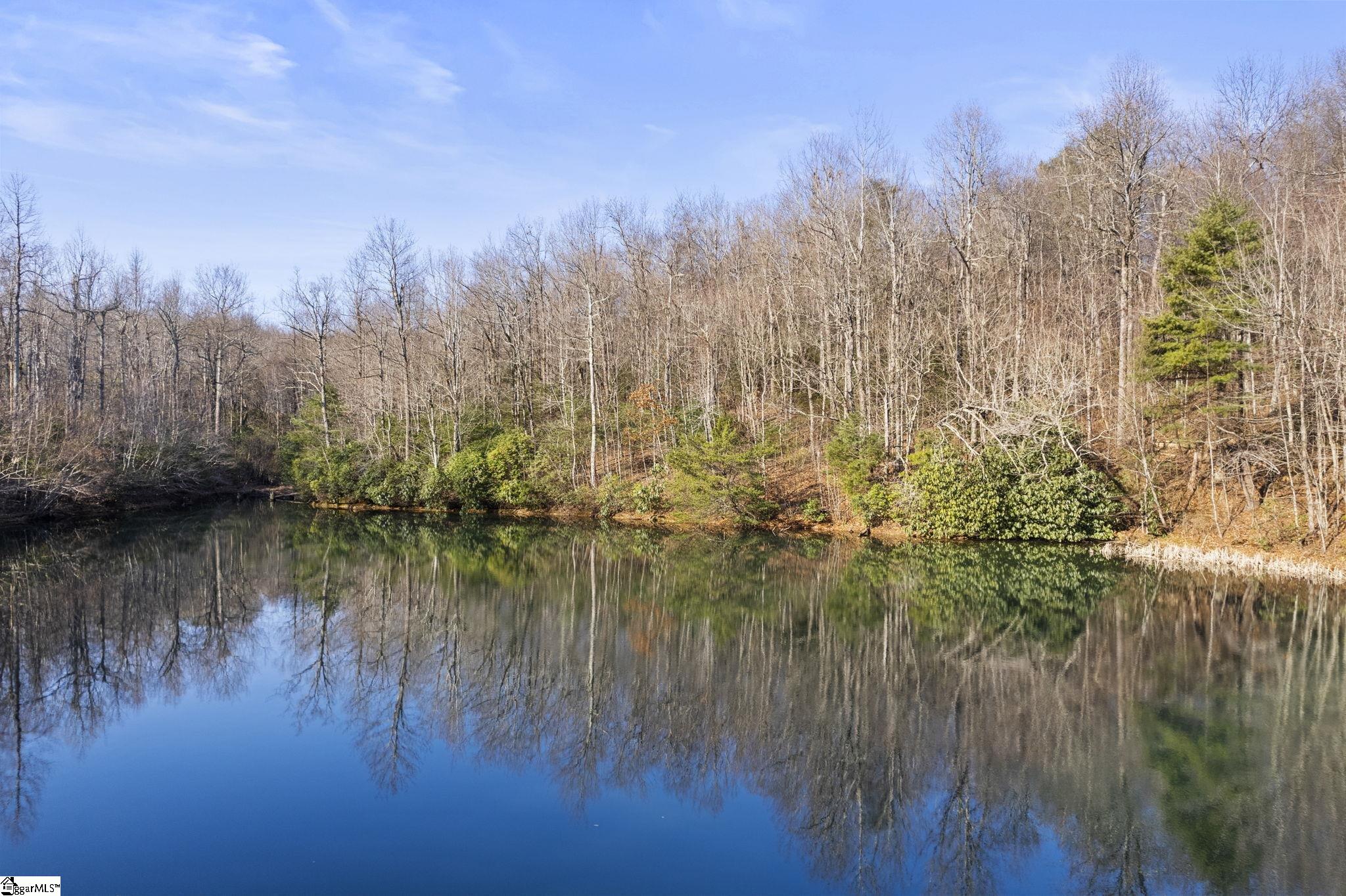 10 Rhetts Ridge Zirconia, NC 28790
