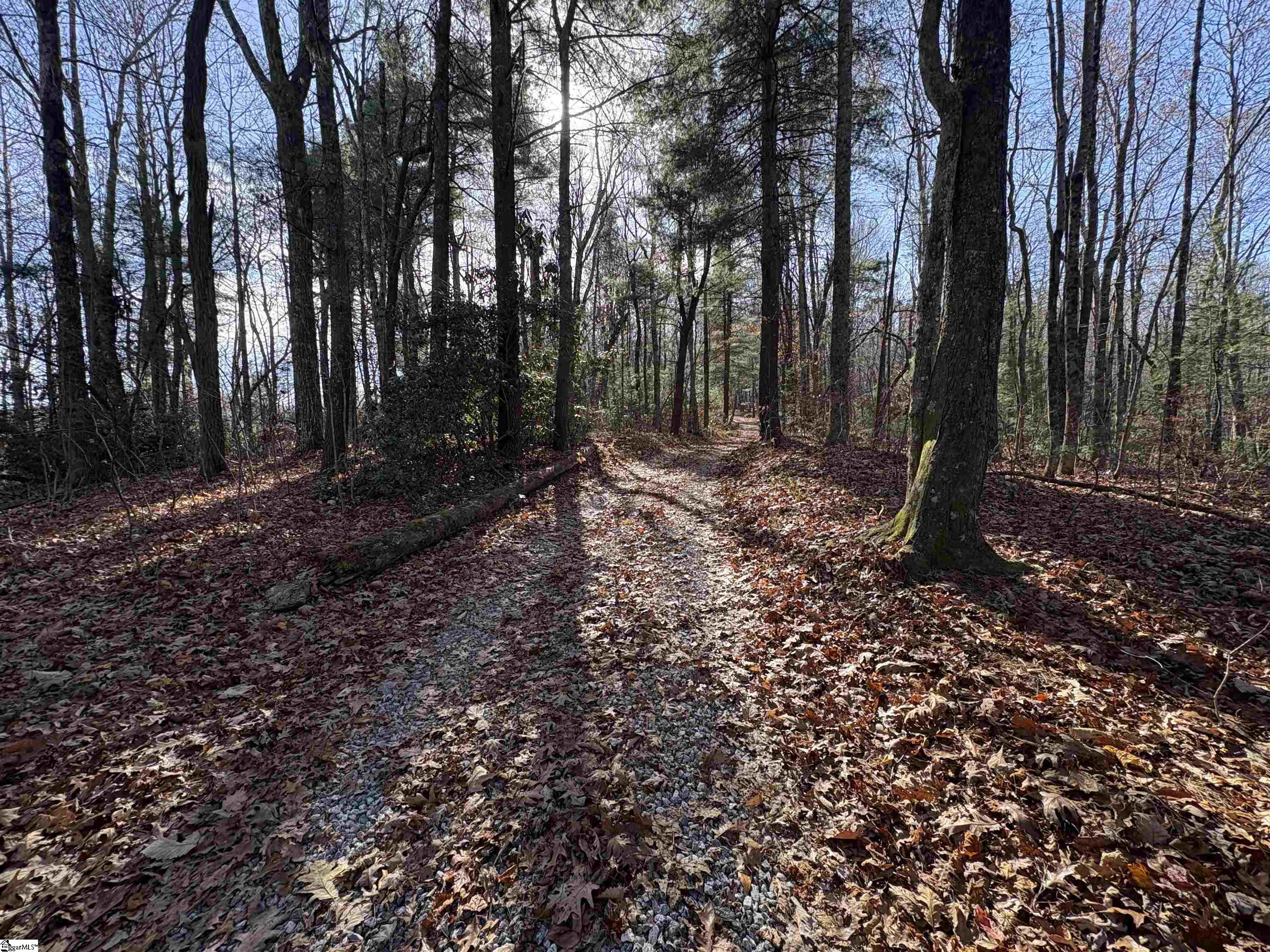 10 Rhetts Ridge Zirconia, NC 28790