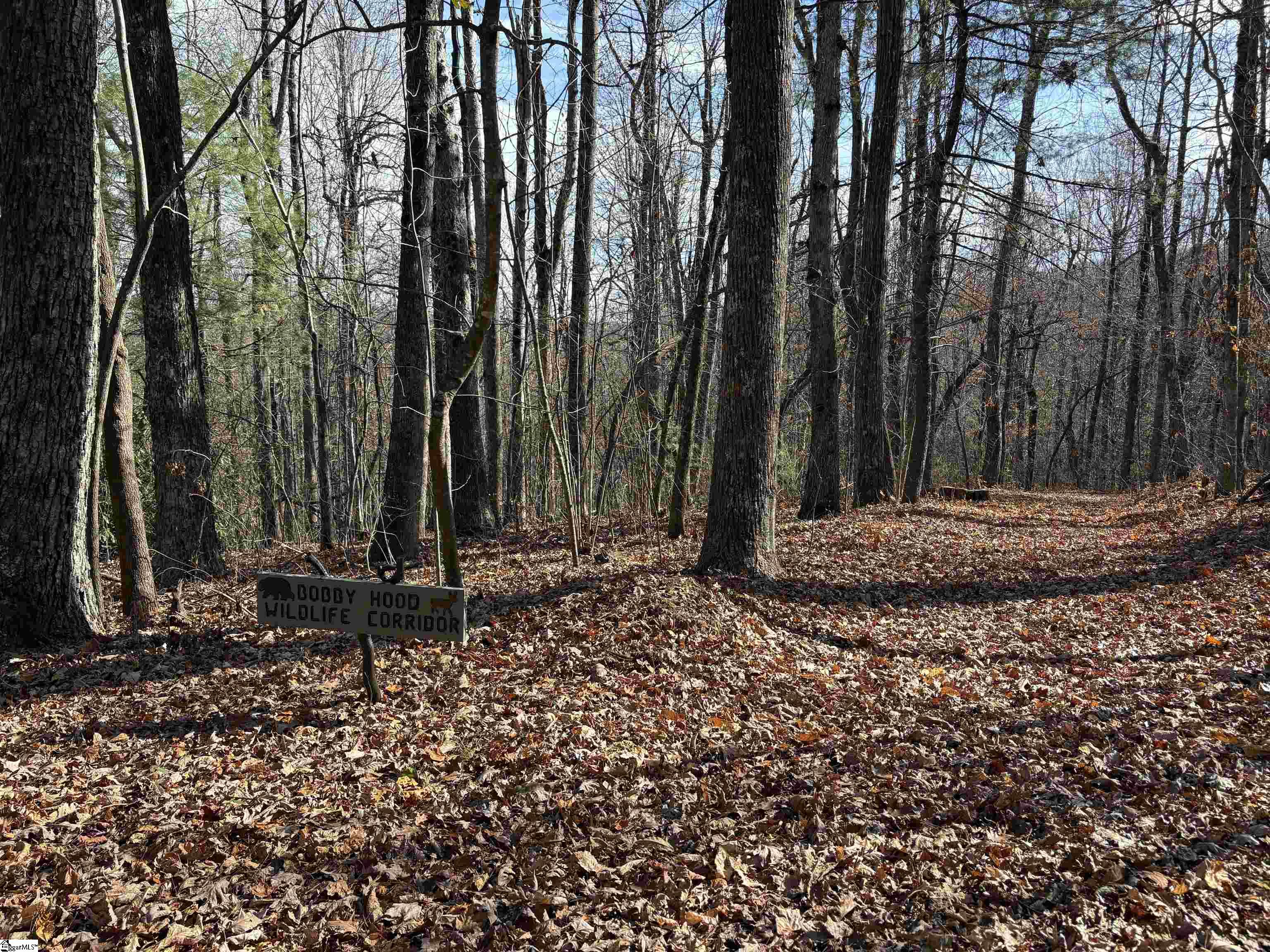 10 Rhetts Ridge Zirconia, NC 28790