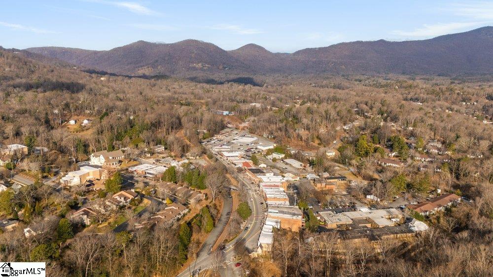 44 Bickford Avenue Tryon, NC 28782