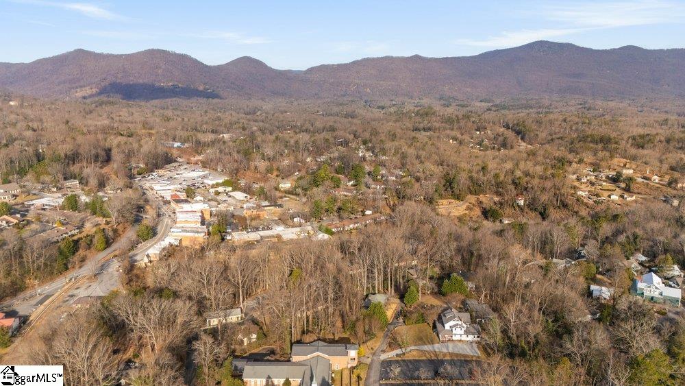 44 Bickford Avenue Tryon, NC 28782