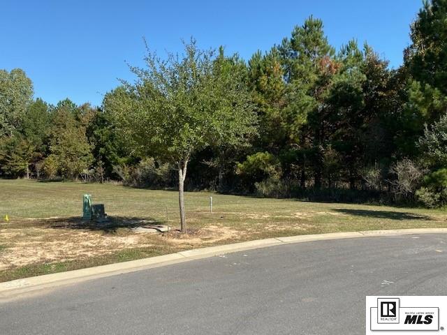 407 Turkey Trace