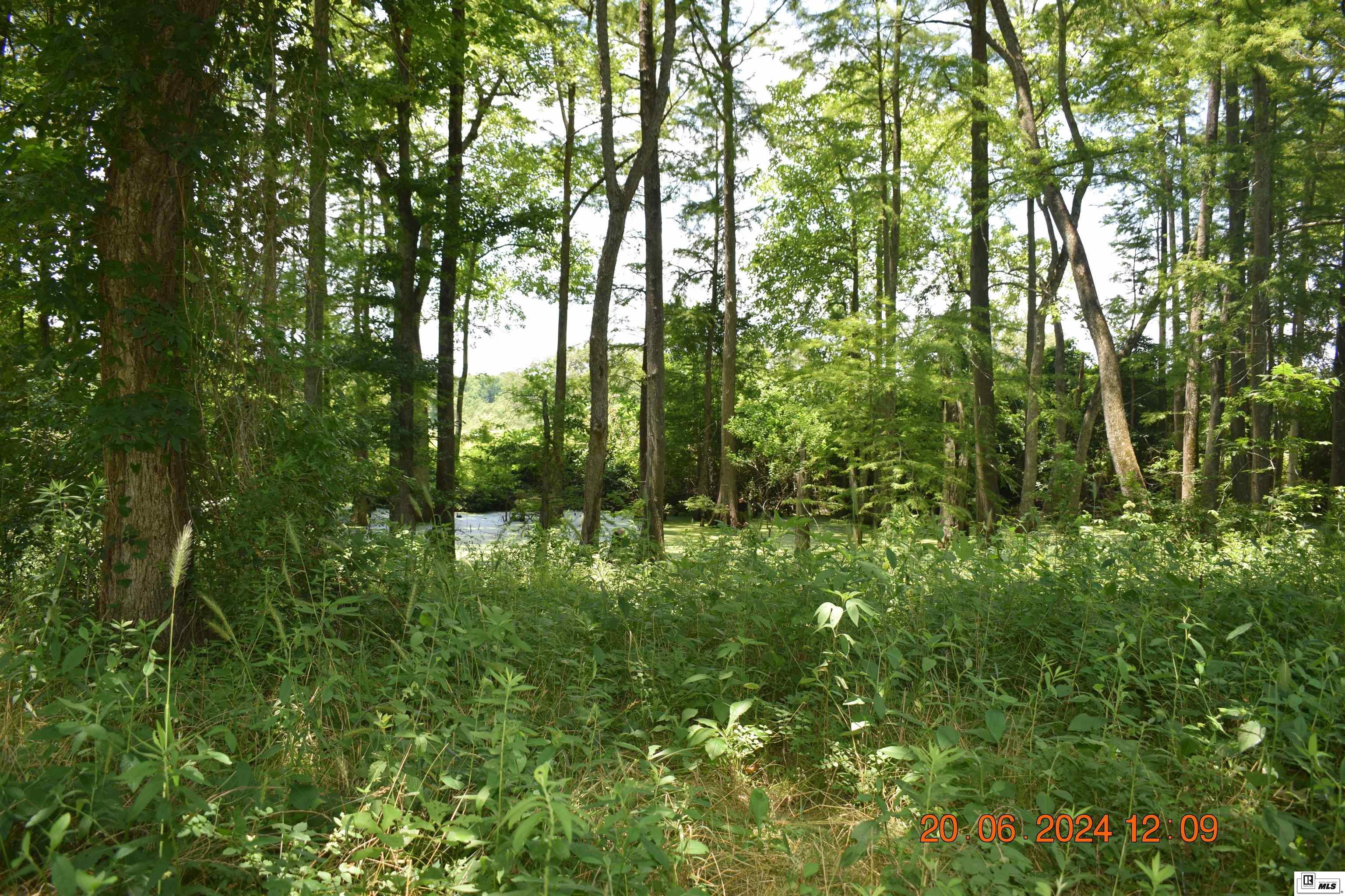 11741 Highway 165