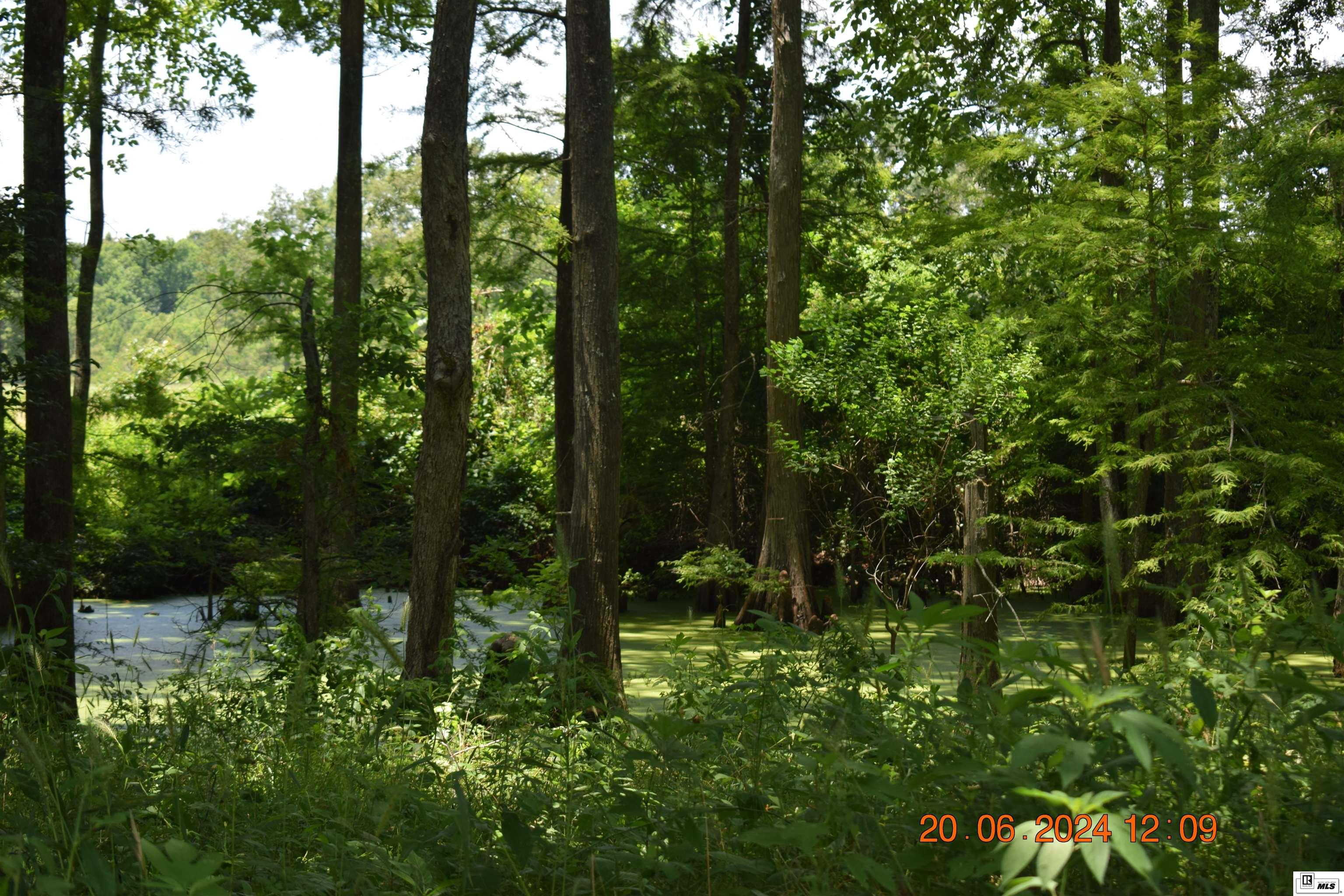 11741 Highway 165